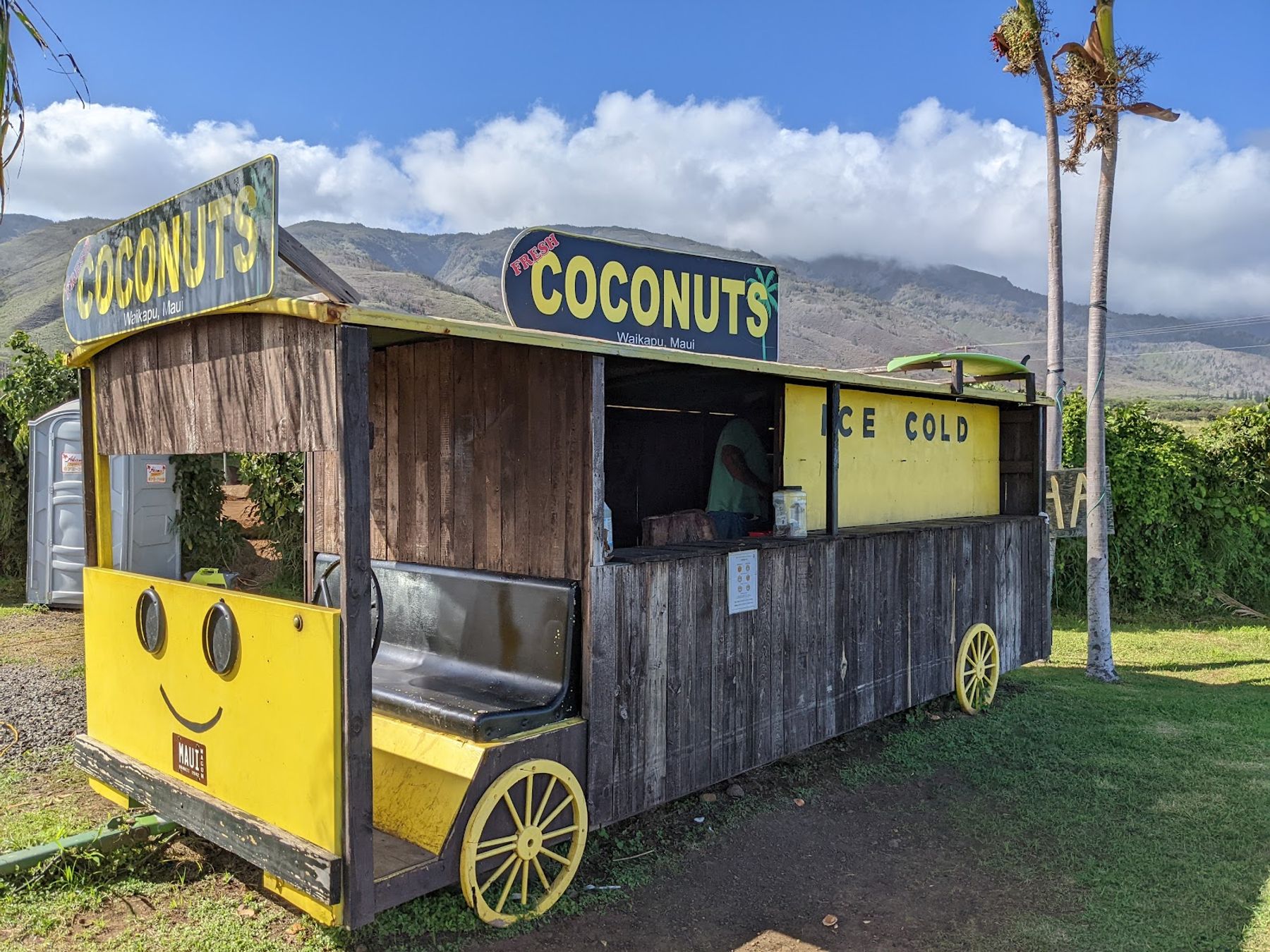 Photo 3 of The Coconut Inc in Māʻalaea, Maui