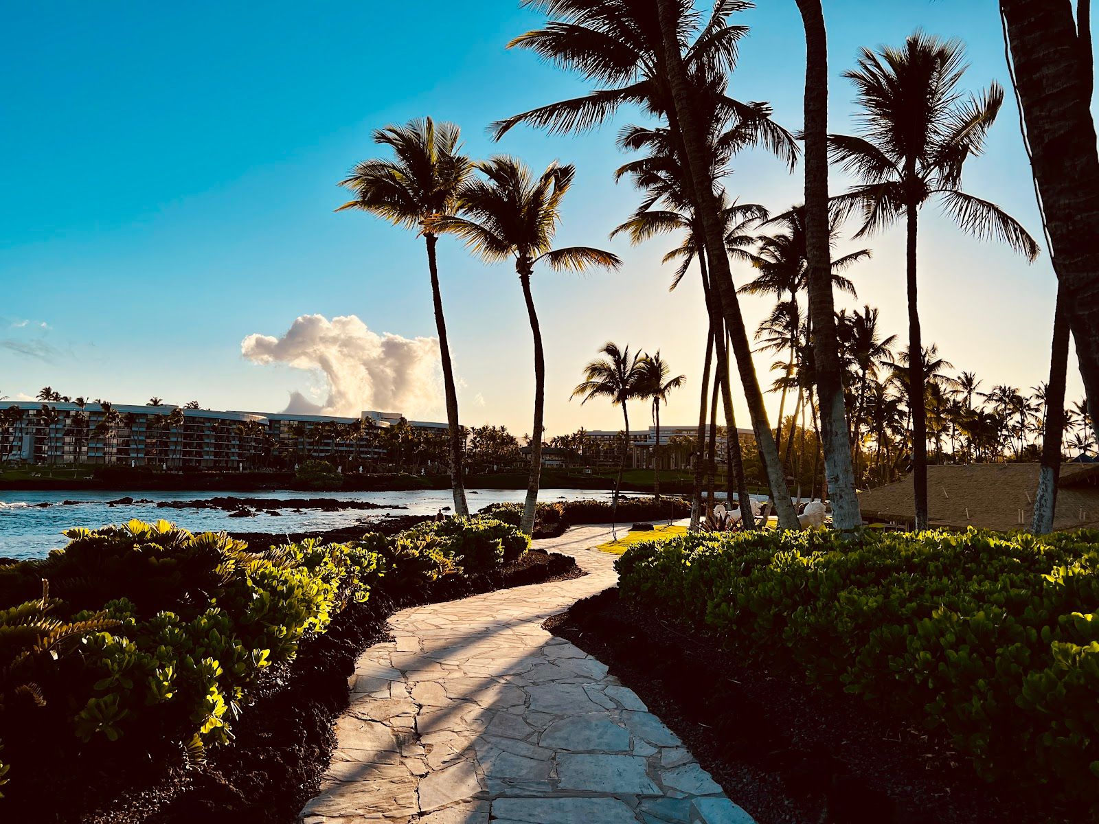 Photo 6 of Palace Tower at Waikōloa Resort in Waikoloa, Big-island