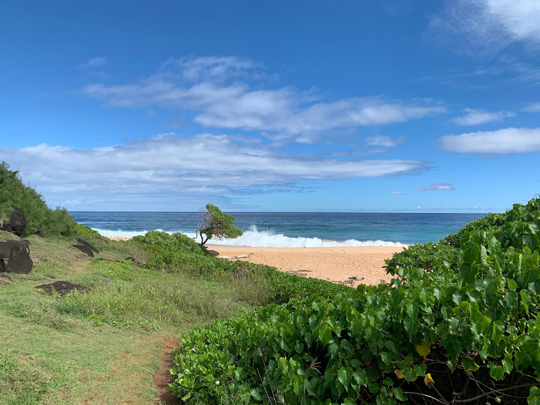 Paliku Beach (Donkey Beach) in Kapaʻa, Kaua‘i photo 2