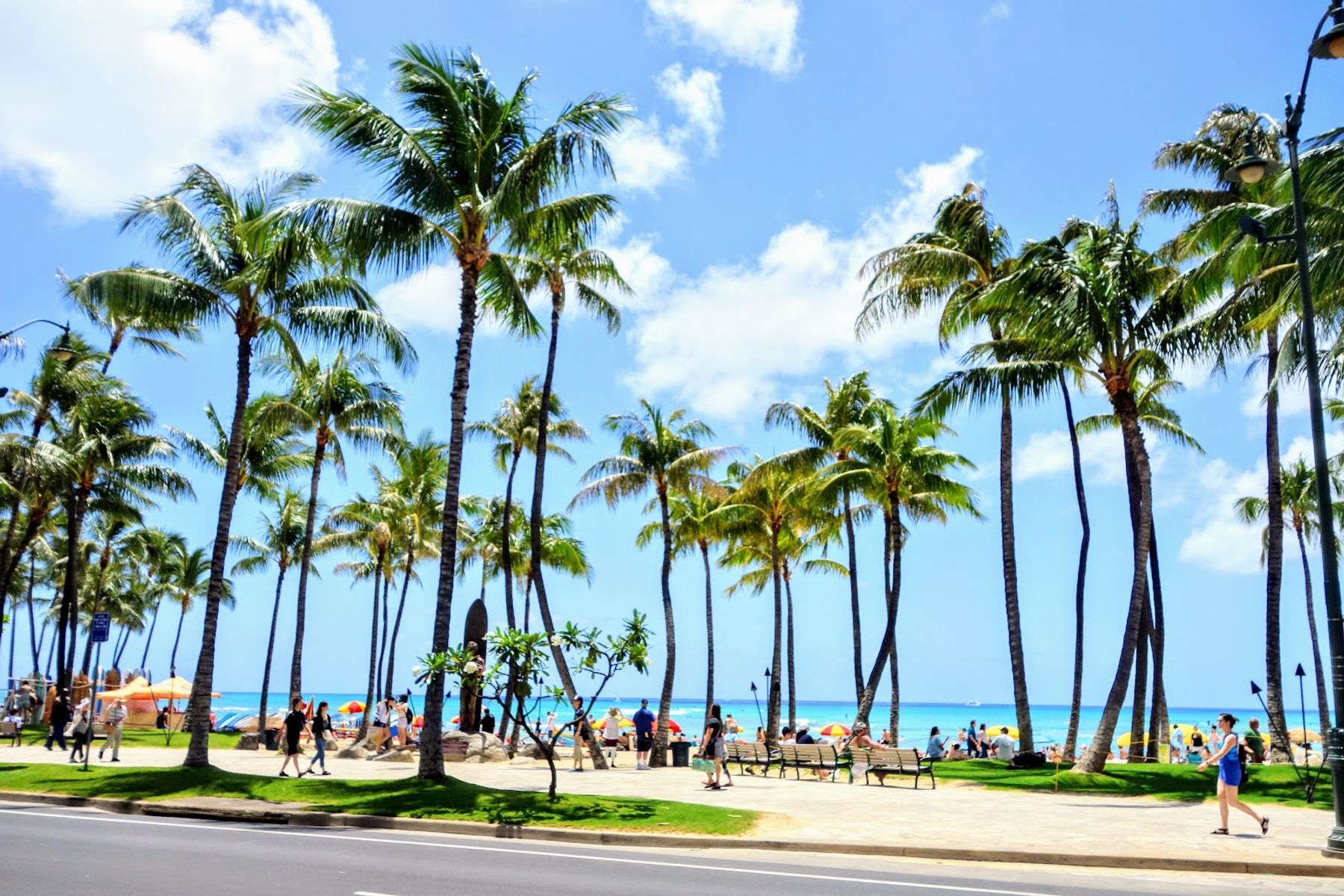 Photo 3 of Waikīkī Beach in Waikīkī, Oahu