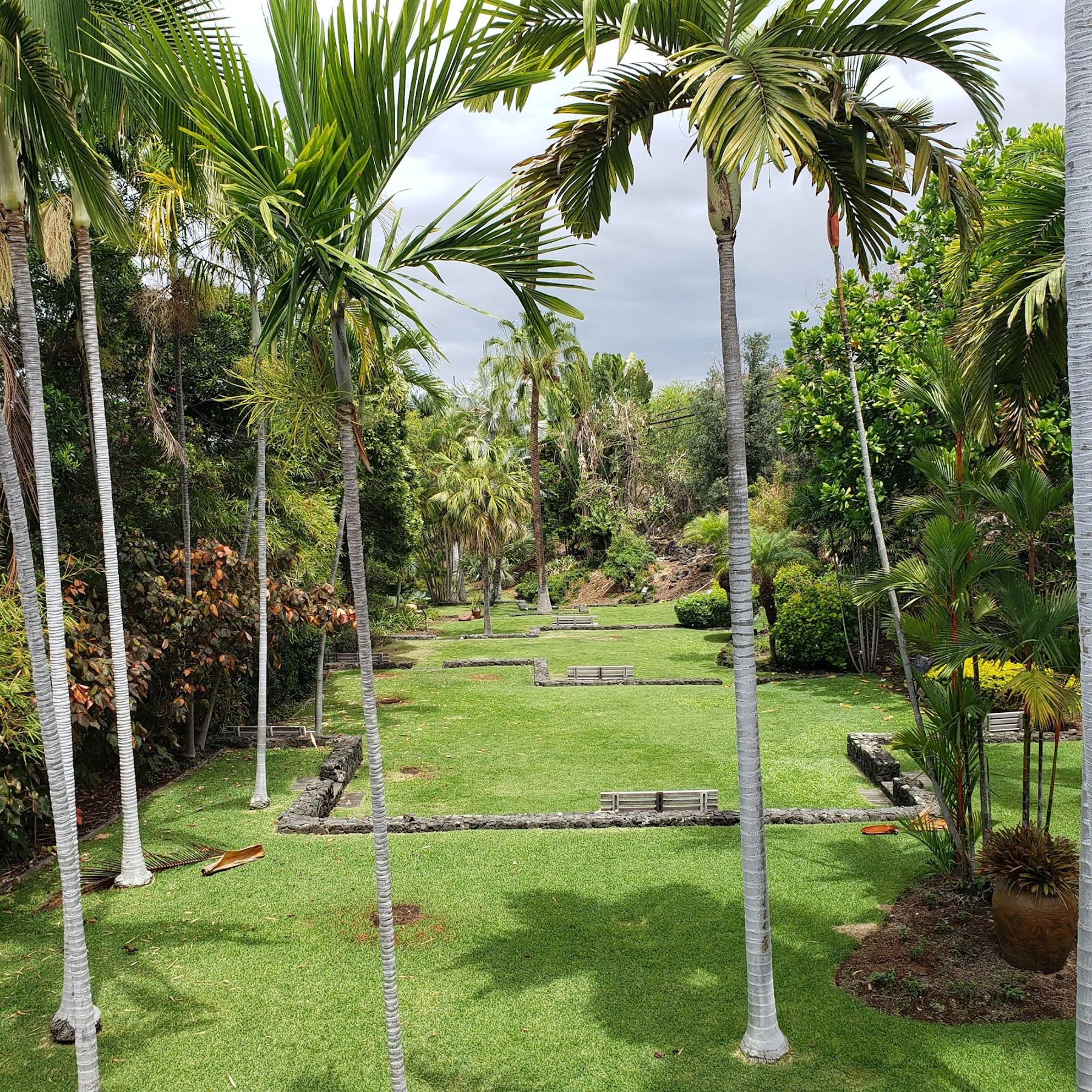 Photo 2 of Sadie Seymour Botanical Gardens and the Kona Educational Center in Kailua-Kona, Big Island