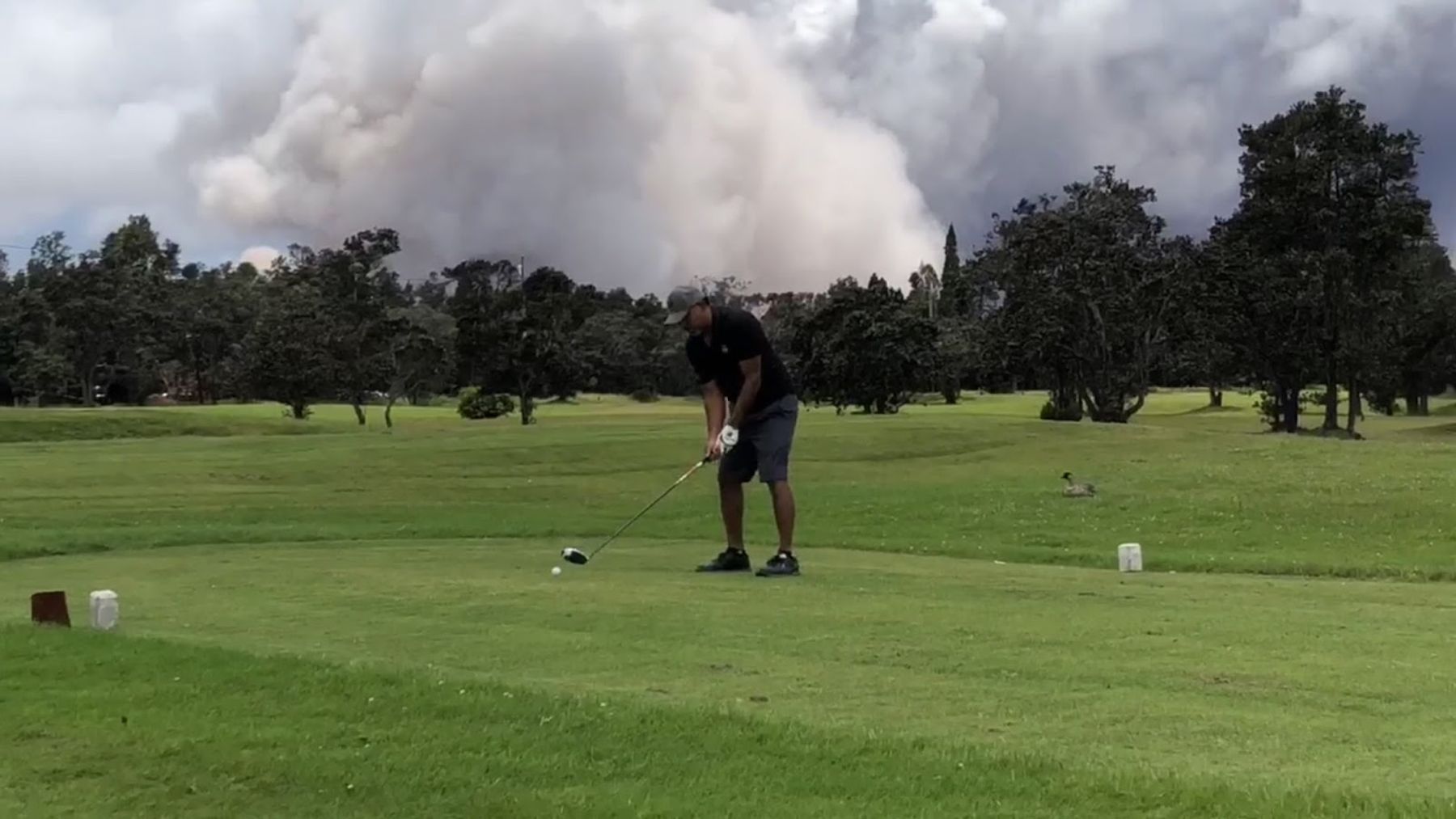 Photo 4 of Volcano Golf Course in Volcano, Big Island