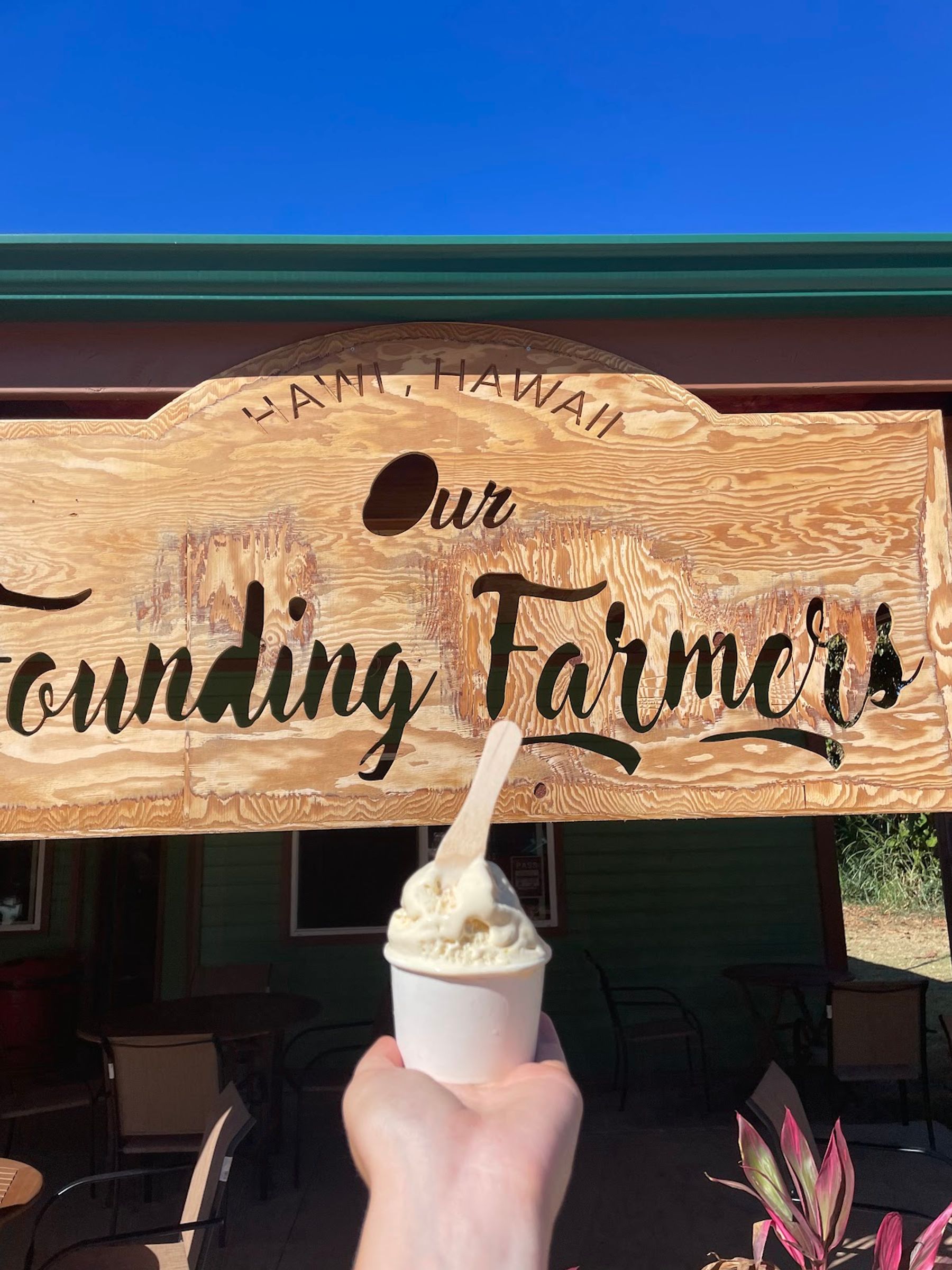 Photo 7 of Our Founding Farmers Ice Cream Shop in North Kohala, Big Island