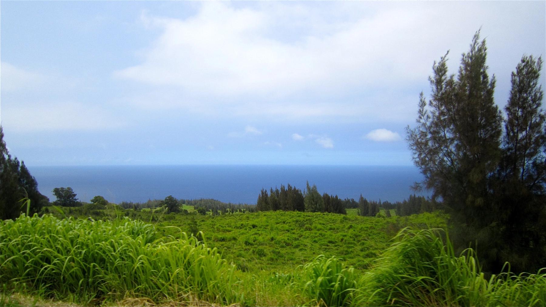 Green pasture and tall grass overlooking the ocean under a cloudy sky near Honokaʻa on Hawaiʻi Island.