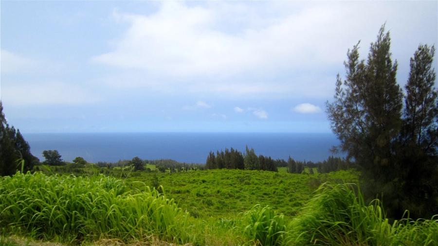 Green pasture and tall grass overlooking the ocean under a cloudy sky near Honokaʻa on Hawaiʻi Island.