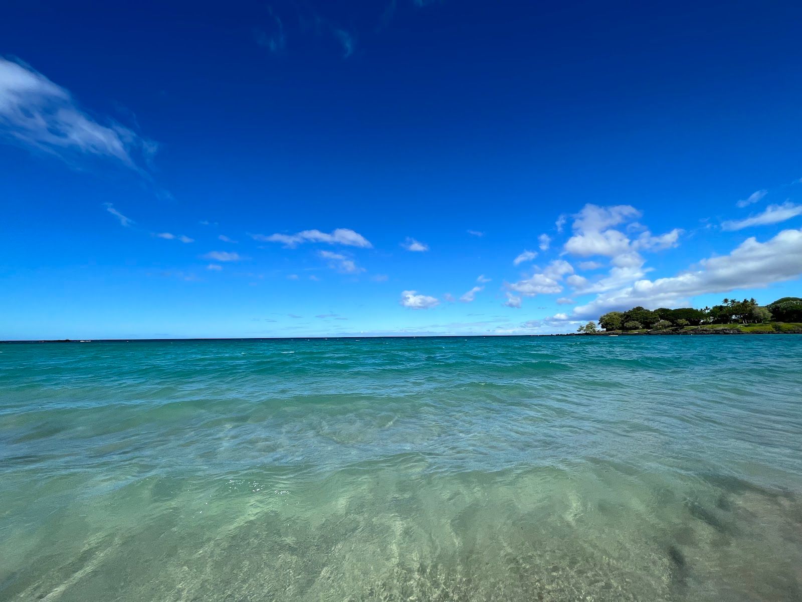 Photo 4 of Kaunaʻoa (Mauna Kea) Beach in Mauna Kea Beach, Big Island