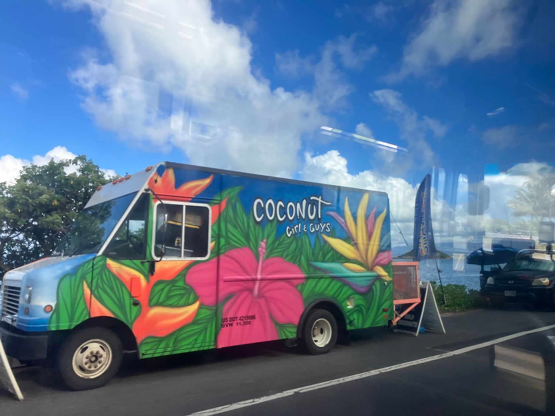 Photo 6 of Coconut Girl & Guys in Kualoa & North Windward, Oahu