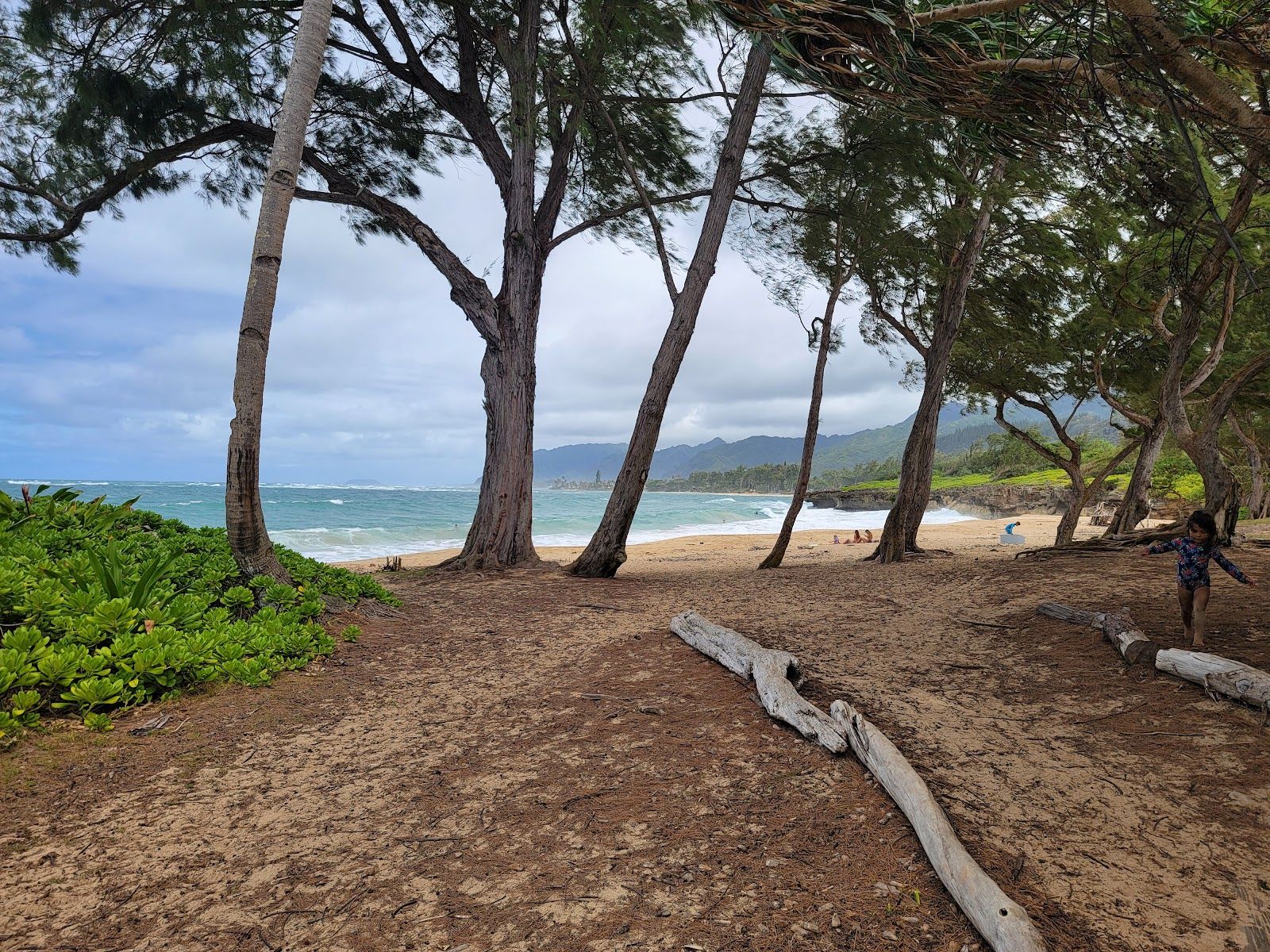 Photo 7 of Lāʻielohelohe Beach Park in Lāʻie, Oahu