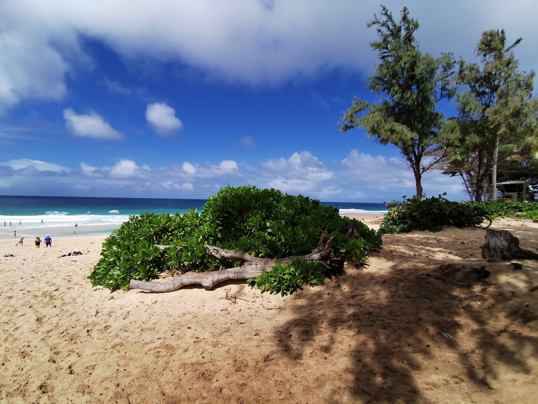 Photo 9 of ʻEhukai Beach Park in Pūpūkea, Oahu