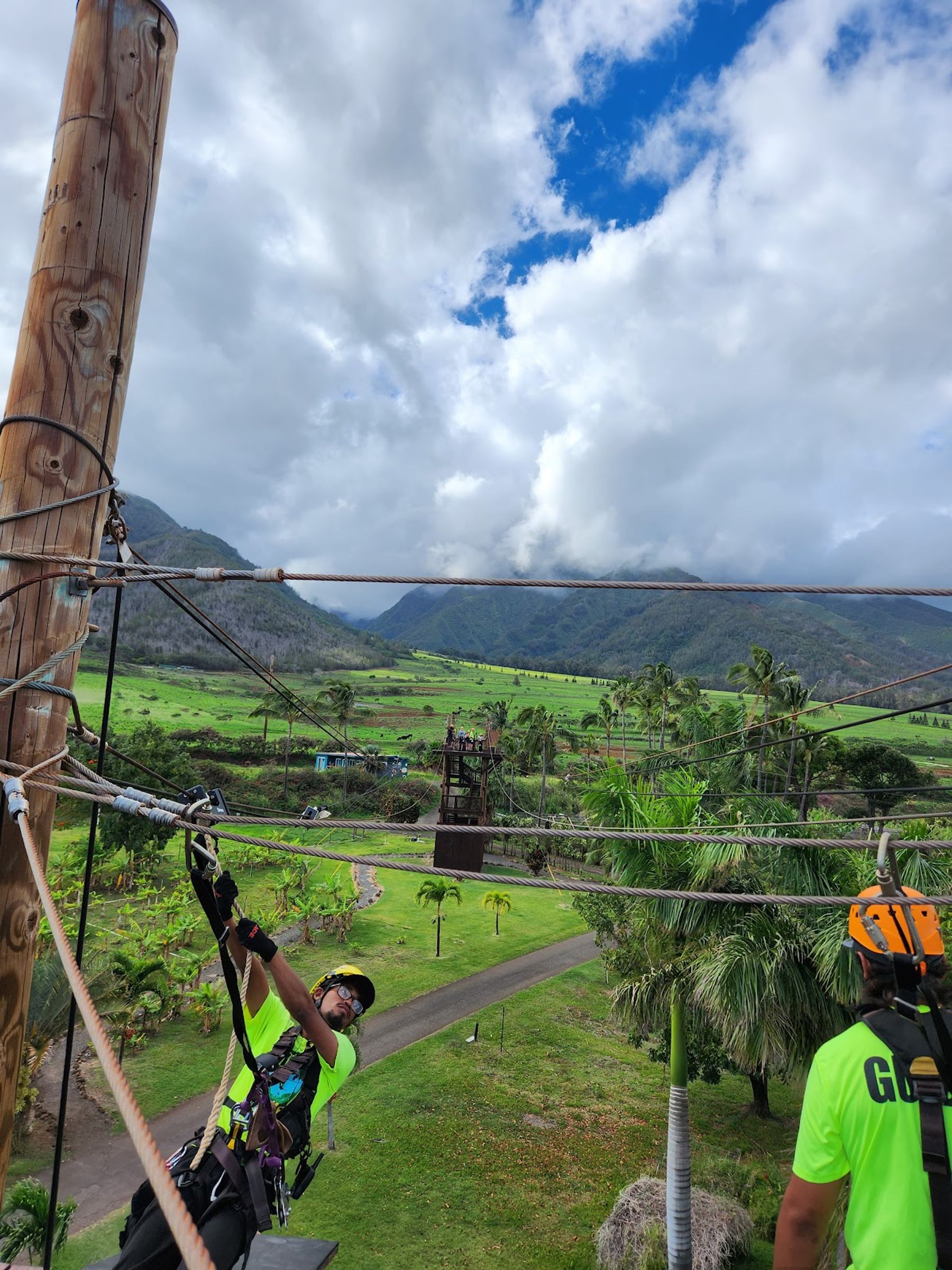 Photo 3 of Maui Zipline Company in Wailuku, Maui