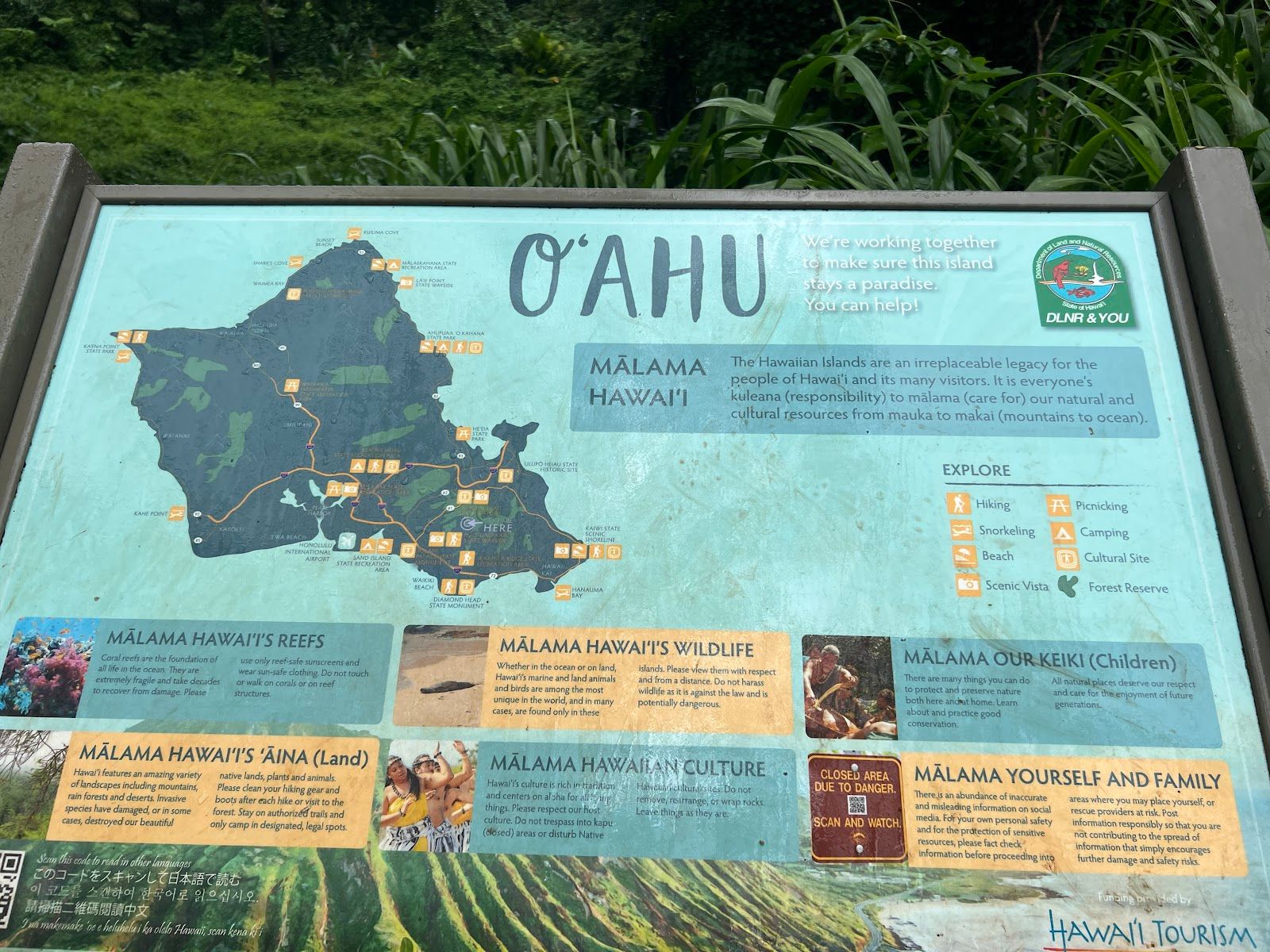 Photo 9 of Mānoa Falls Trail in Mānoa, Makiki & Nuʻuanu, Oahu