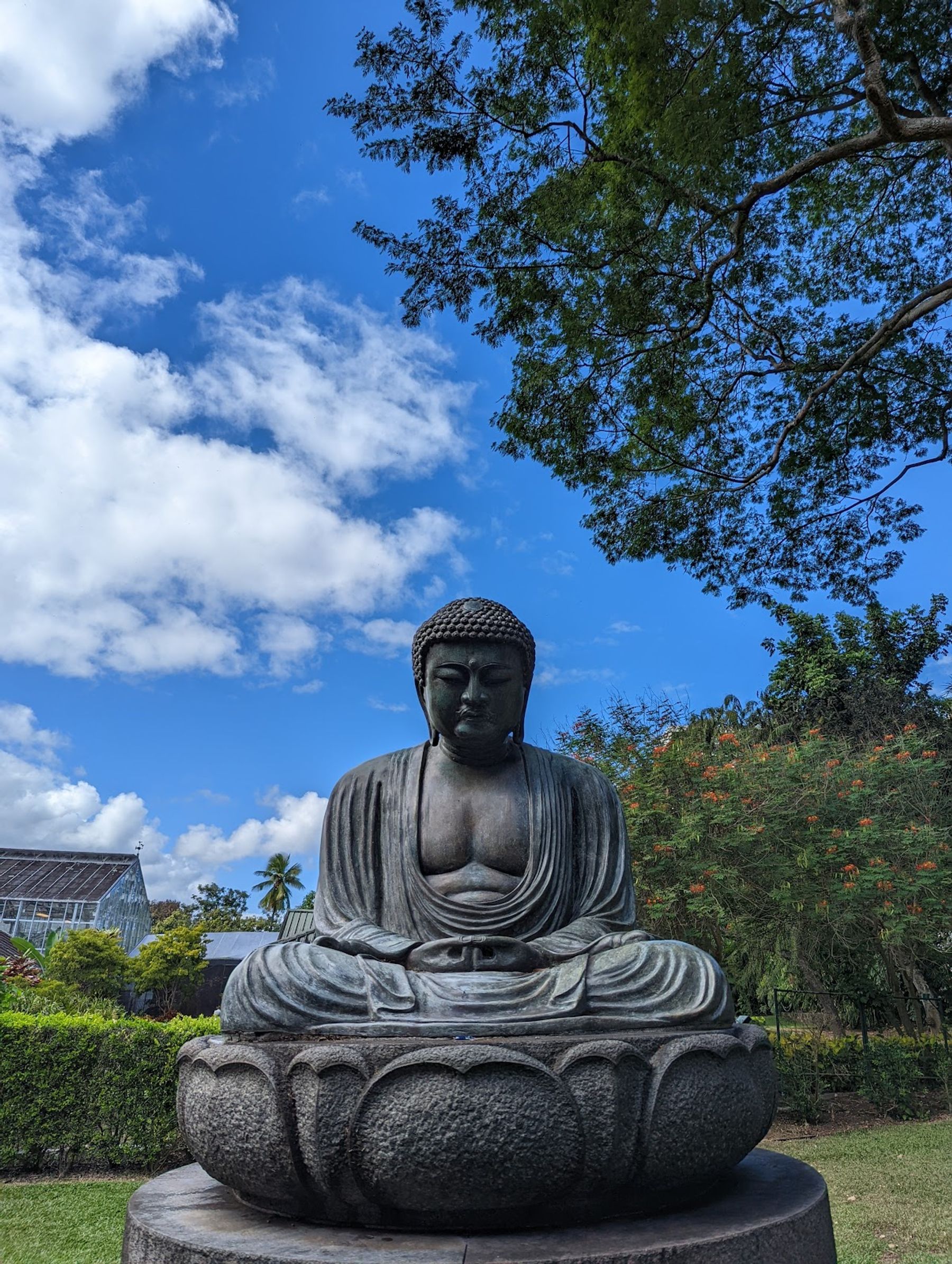 Photo 4 of Foster Botanical Garden in Downtown, Chinatown & Kakaʻako, Oahu