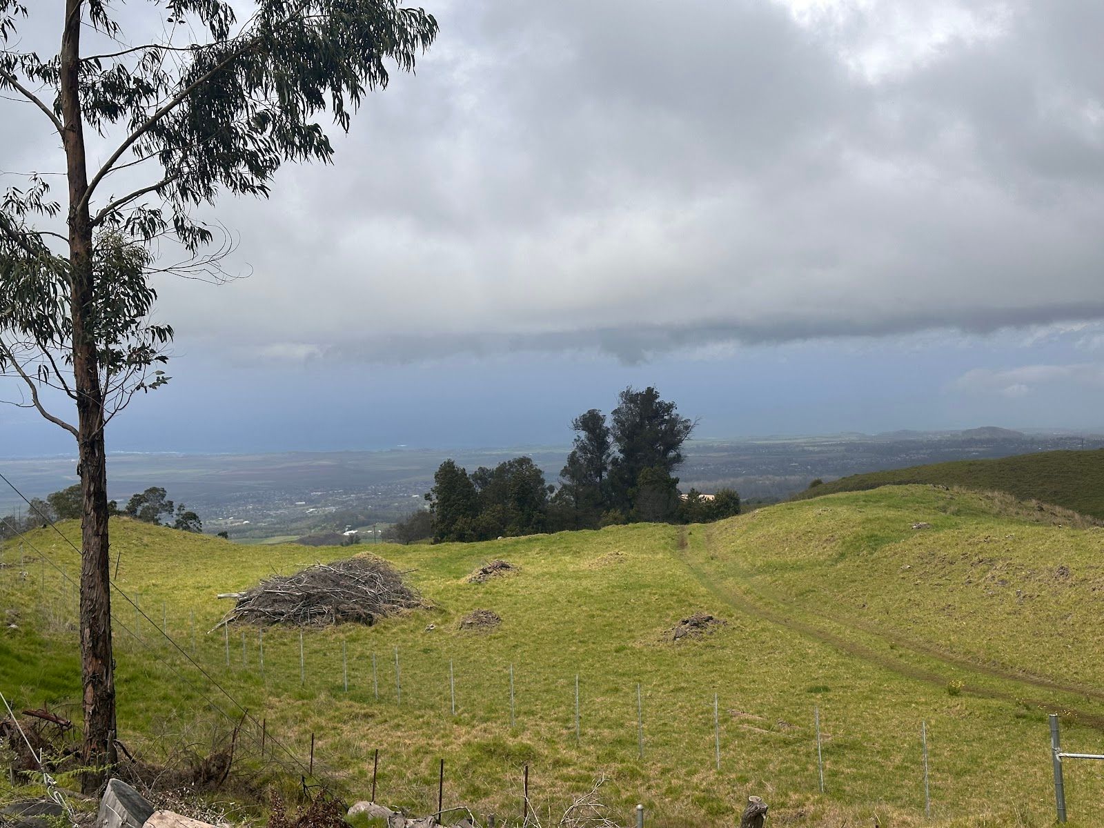 Photo 5 of Skyline Hawaii - Haleakalā Zipline Tours in Kula, Maui