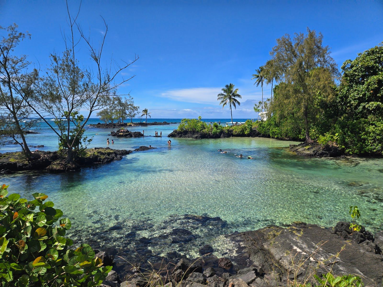 Photo 5 of Carlsmith Beach Park in Hilo, Big Island