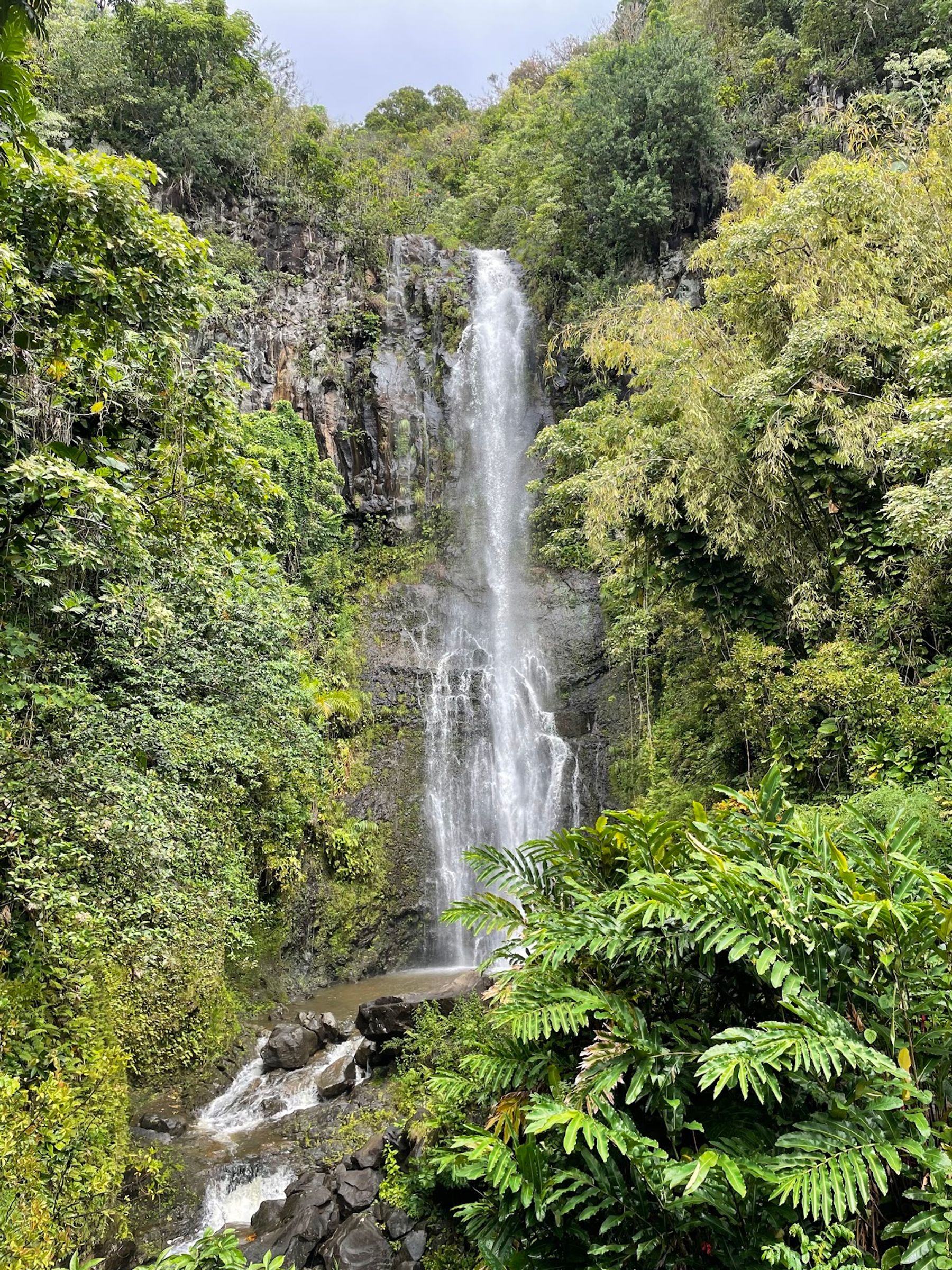 Photo 6 of Road to Hana in Keʻanae-Nāhiku, Maui