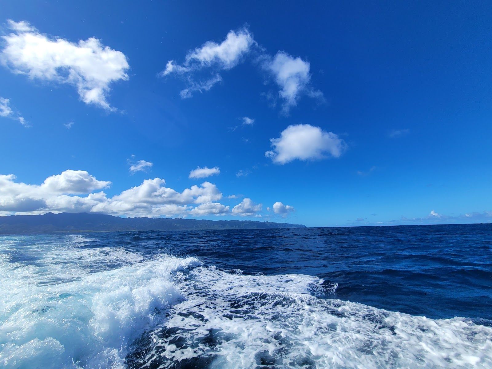 Photo 6 of Go Adventure Hawaii in Haleʻiwa, Oahu
