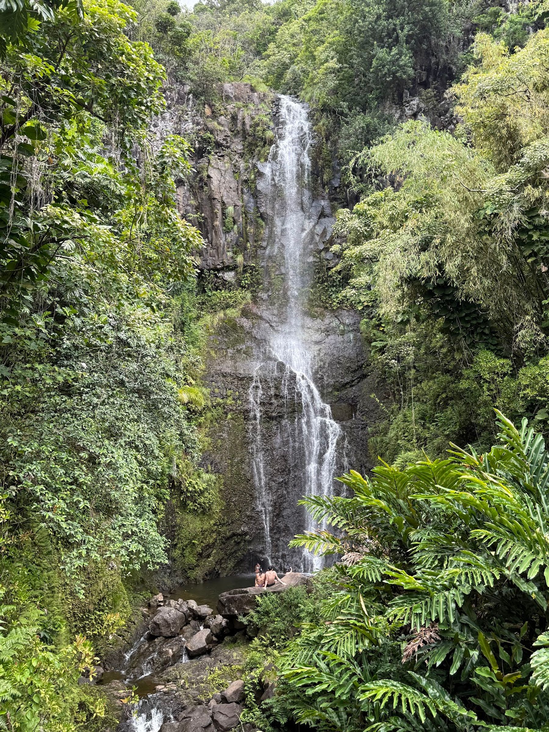 Photo 3 of Hawaii By Storm Tours in Kahului, Maui