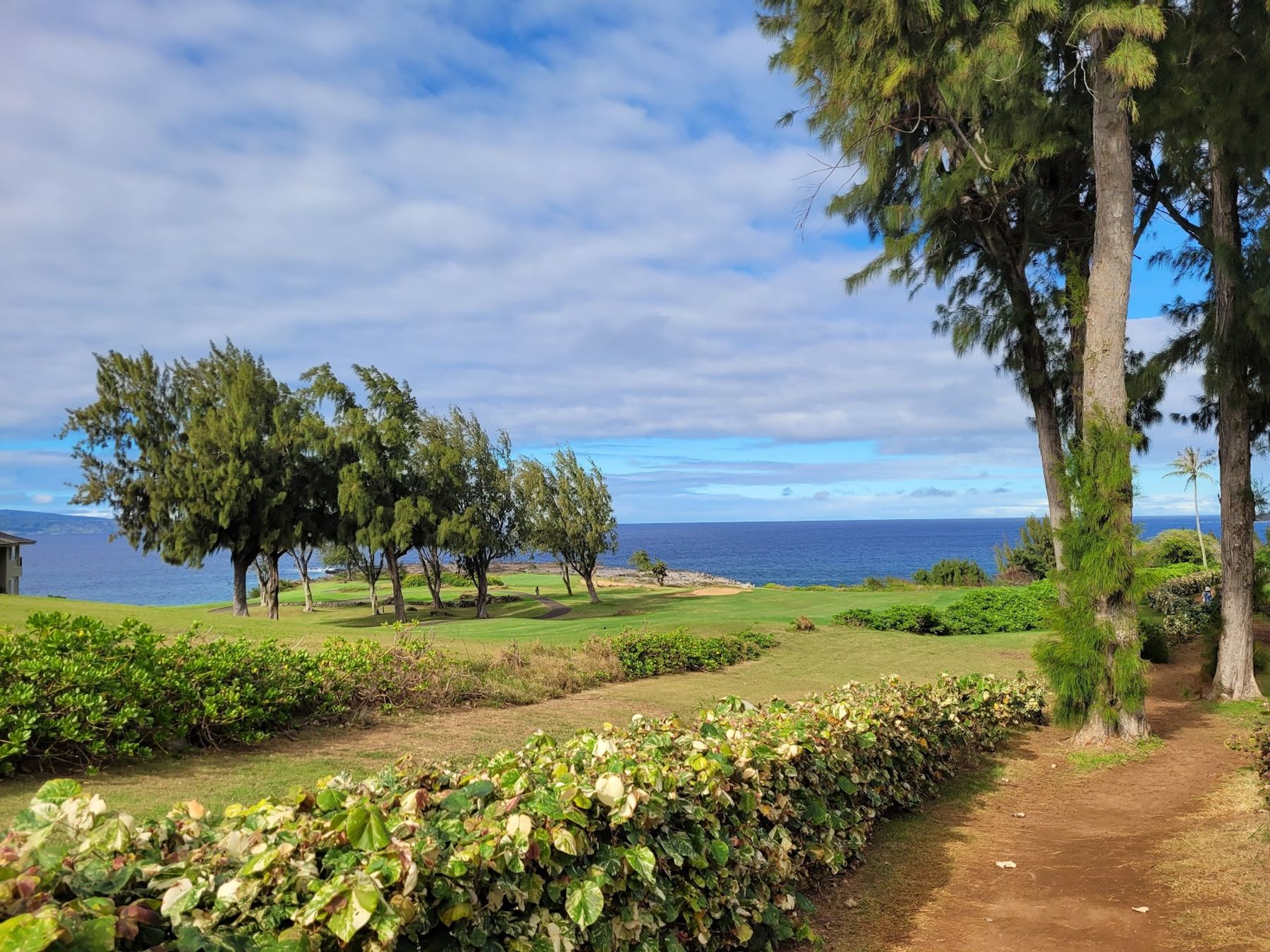 Photo 5 of Dragon's Teeth Access Trail, Kapalua in Kapalua, Maui