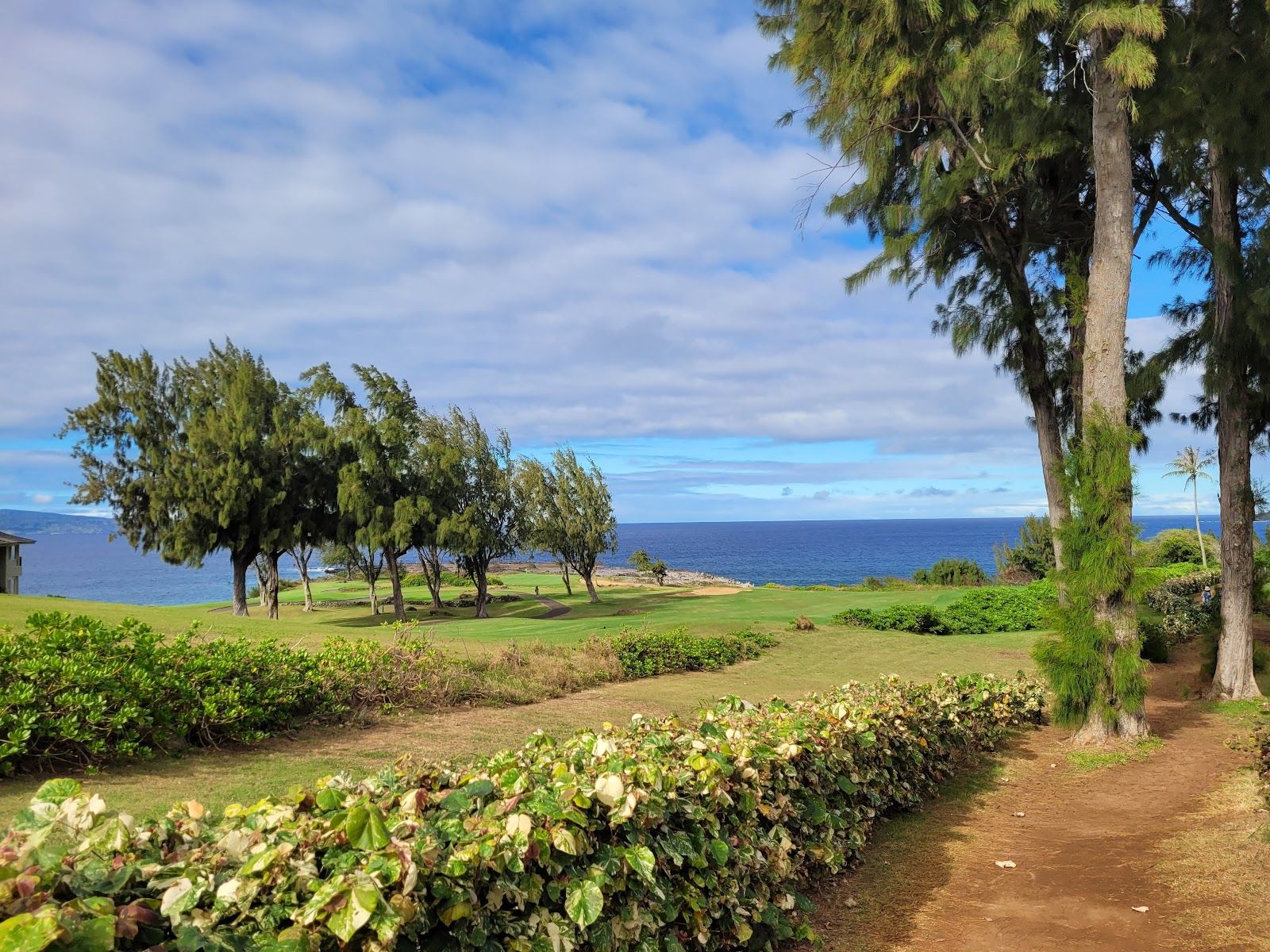 Photo 5 of Dragon's Teeth Access Trail, Kapalua in Kapalua, Maui