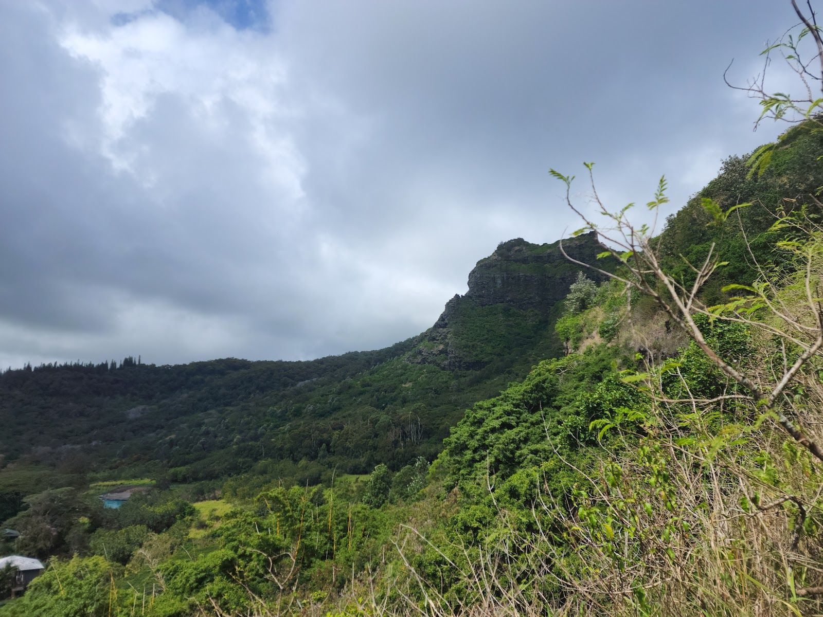 Sleeping Giant: Nounou East Trailhead in Kapaʻa, Kaua‘i photo 3