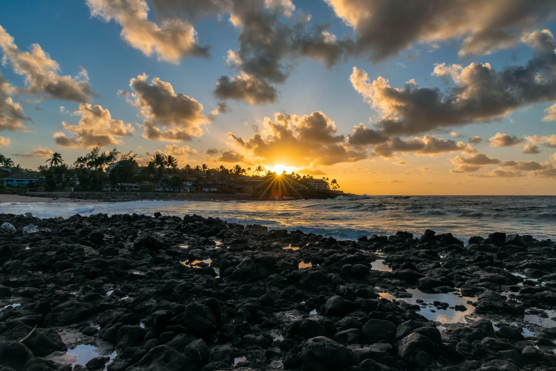 Sunrise over the ocean from a rocky lava shoreline with tide pools, palm silhouettes, and golden clouds above gentle waves
