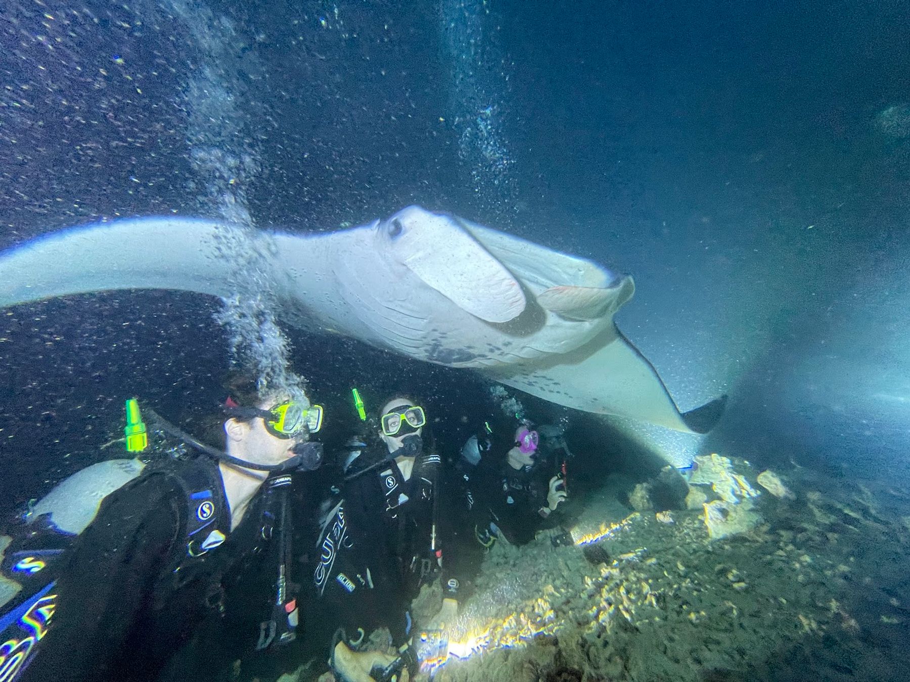 Photo 7 of Jack's Diving Locker (Harbor Store and Boat Trips) in Kailua-Kona, Big Island