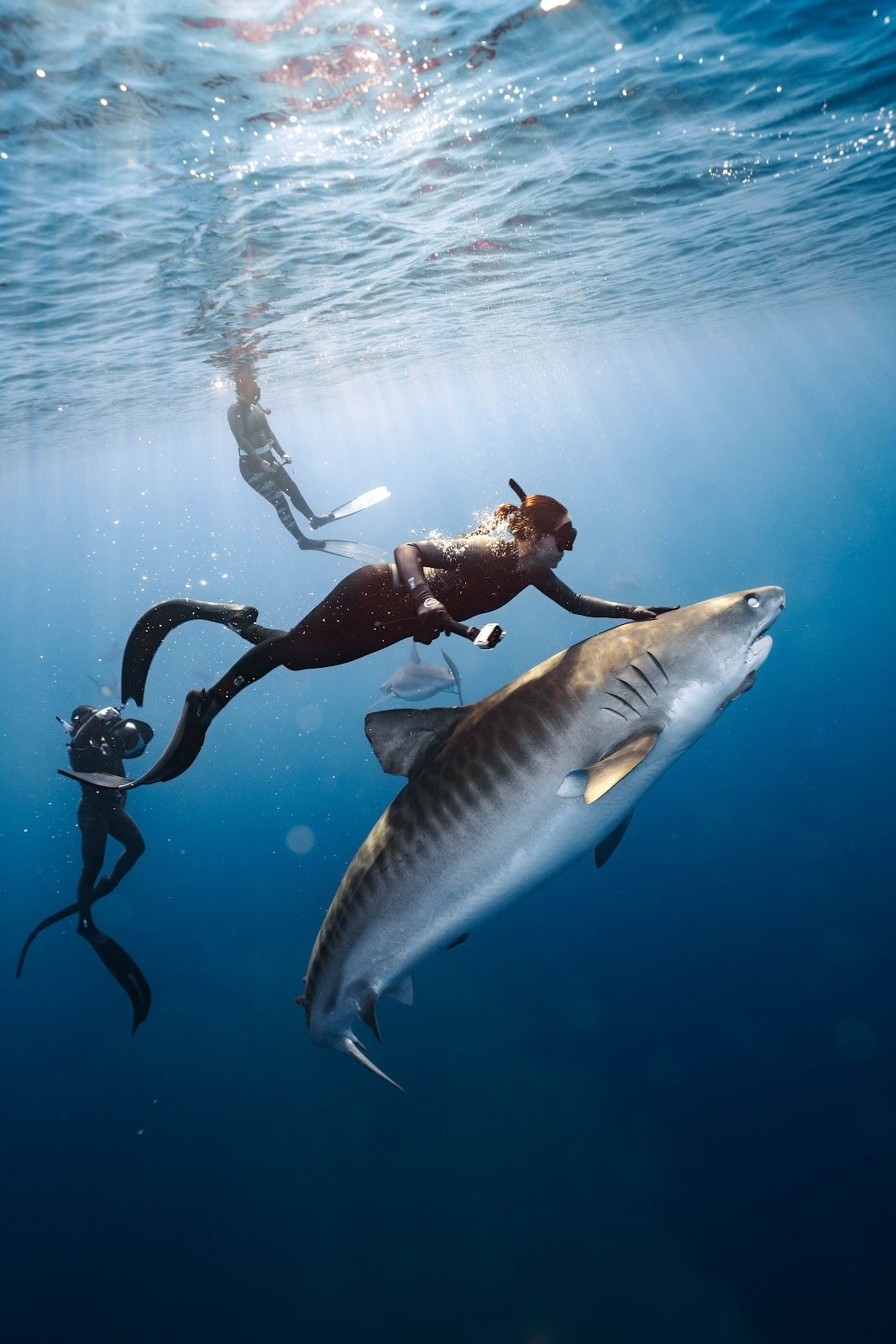Photo 1 of Go Adventure Hawaii in Haleʻiwa, Oahu