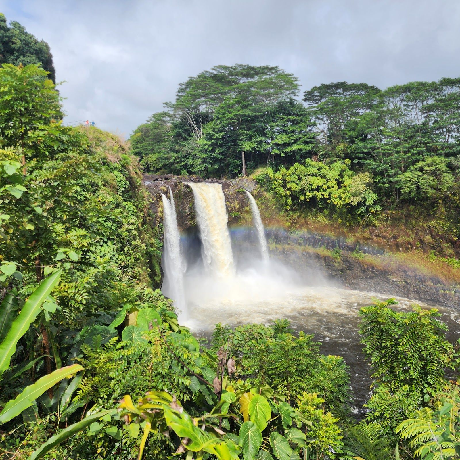 Photo 5 of Rainbow Falls in Hilo, Big Island