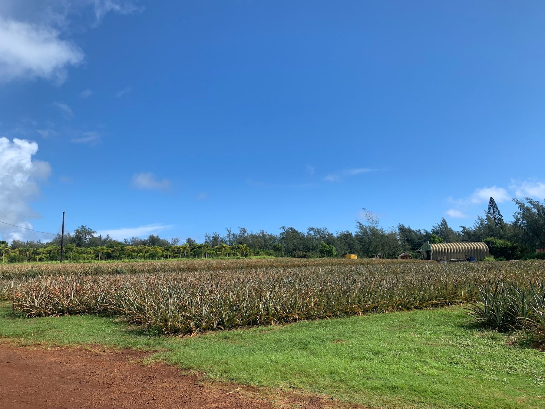 Hole in the Mountain Farm in Anahola, Kaua‘i photo 3