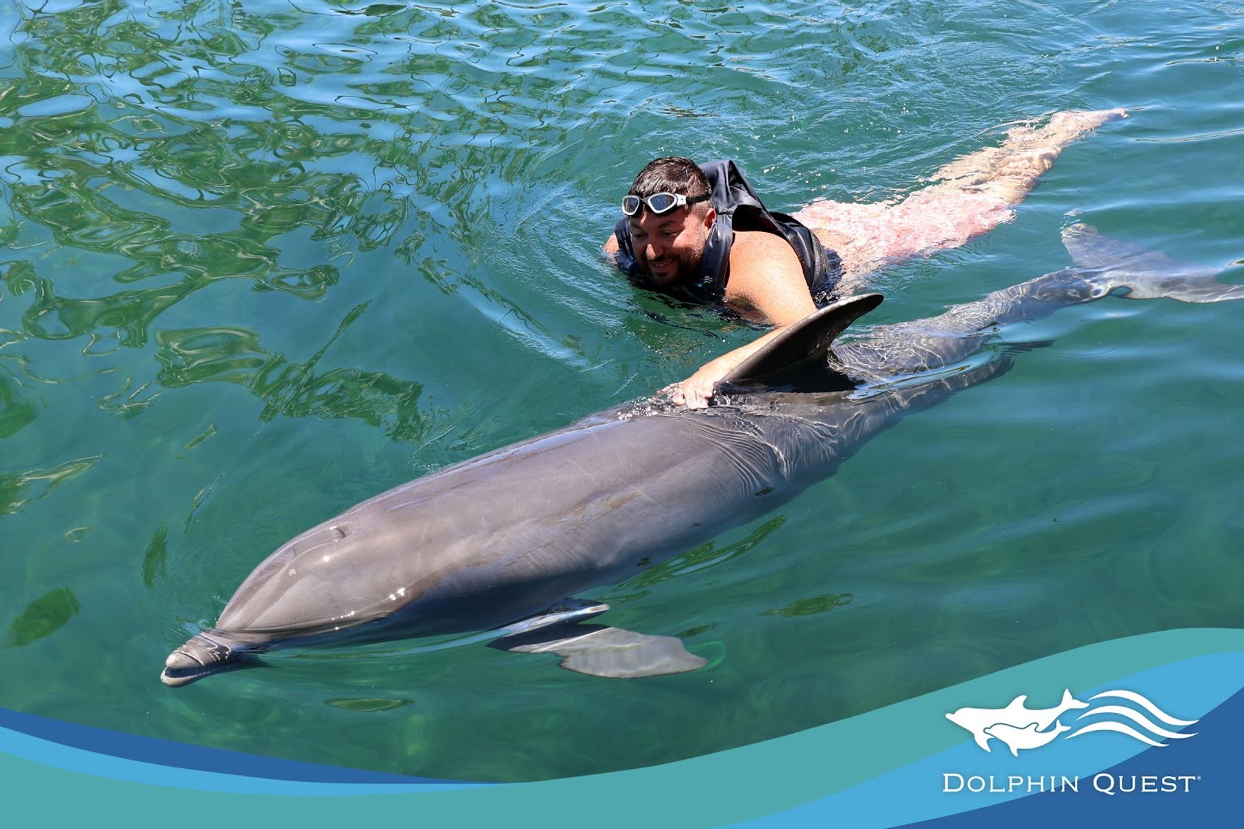 Photo 10 of Dolphin Quest Hawaii in Waikoloa, Big Island