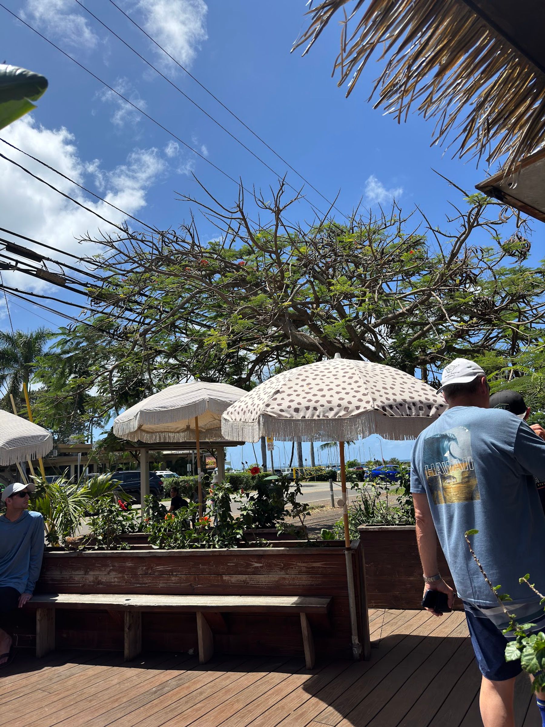 Photo 1 of Haleʻiwa Bowls in Haleʻiwa, Oahu