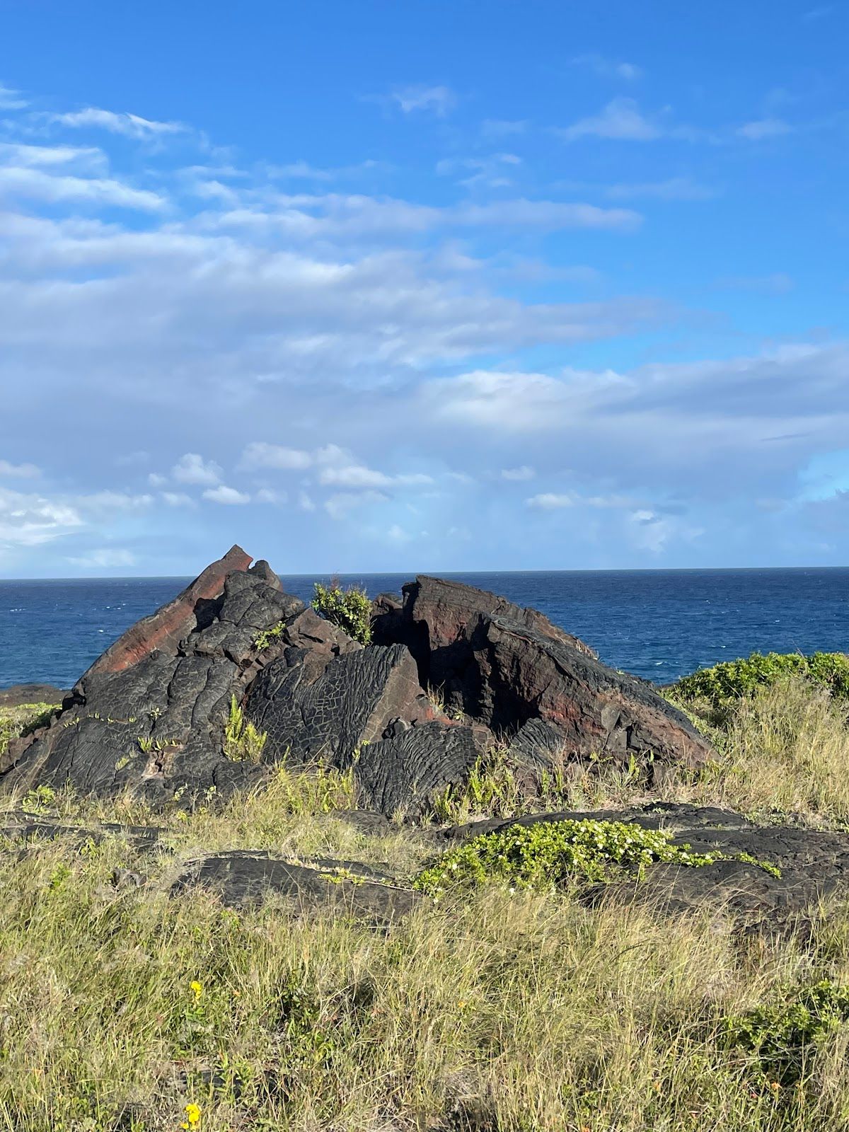 Photo 6 of Chain of Craters Road in Volcano, Big Island