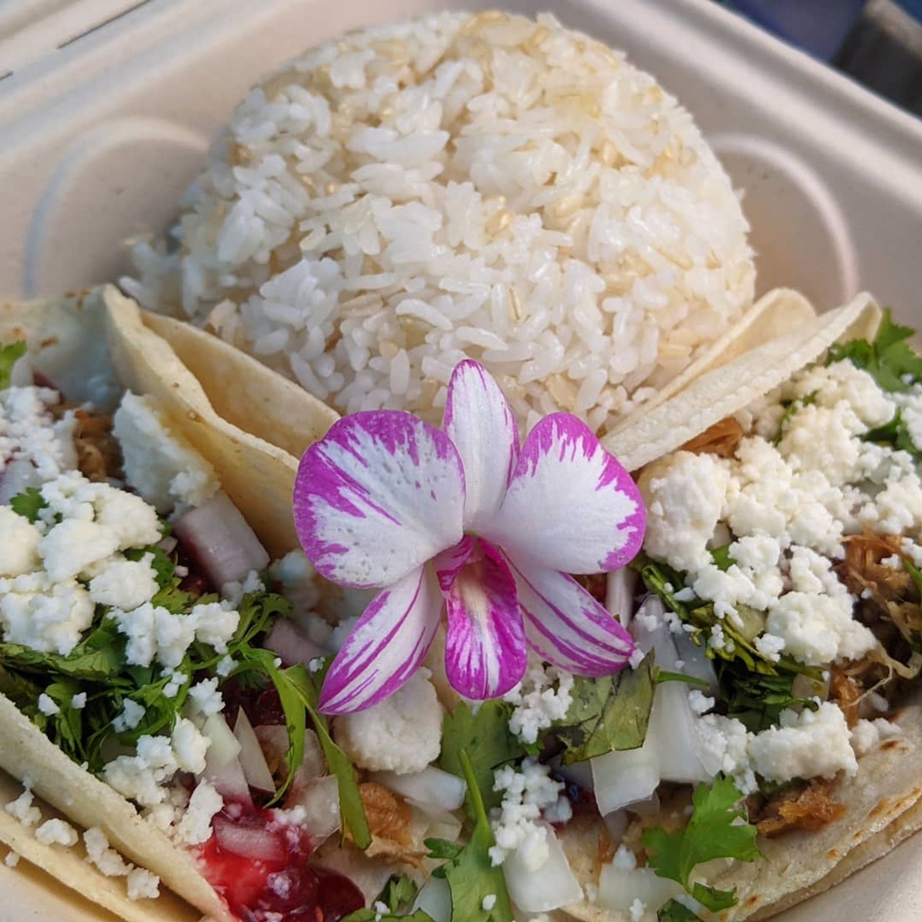 Photo 2 of Saucy Mama's LLC in Mountain View, Big Island