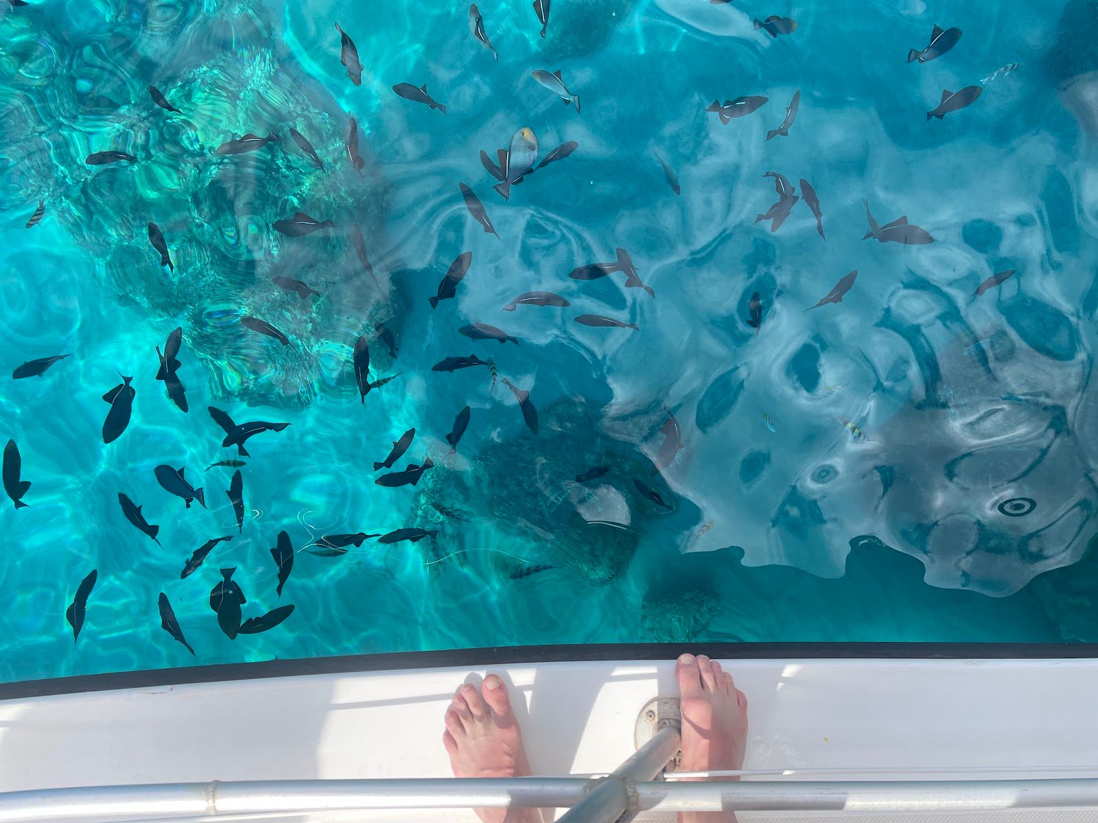 Photo 8 of Aqua Adventures in Māʻalaea, Maui