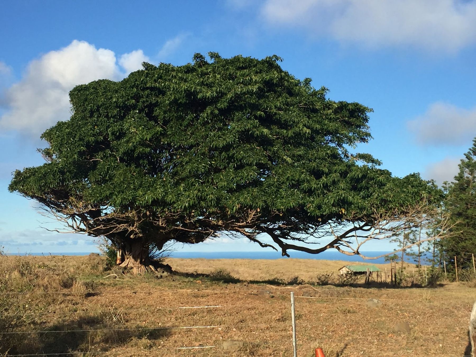 Photo 8 of South Point Park in South Point, Big Island
