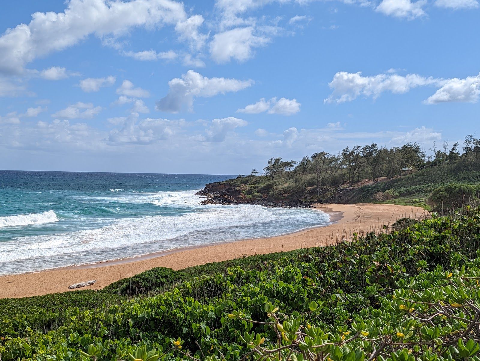Paliku Beach (Donkey Beach) in Kapaʻa, Kaua‘i photo 5