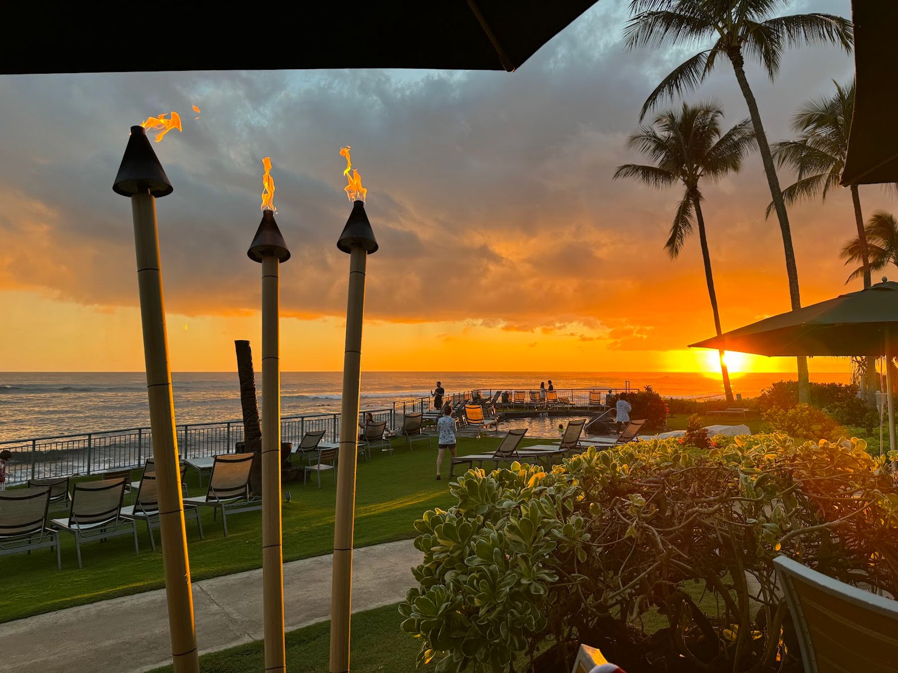 Photo 3 of Honu Bar in Poʻipū, Kauai