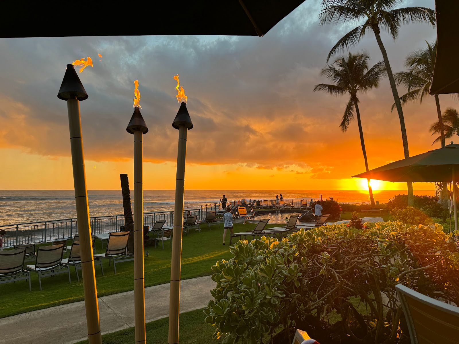 Photo 3 of Honu Bar in Poʻipū, Kauai