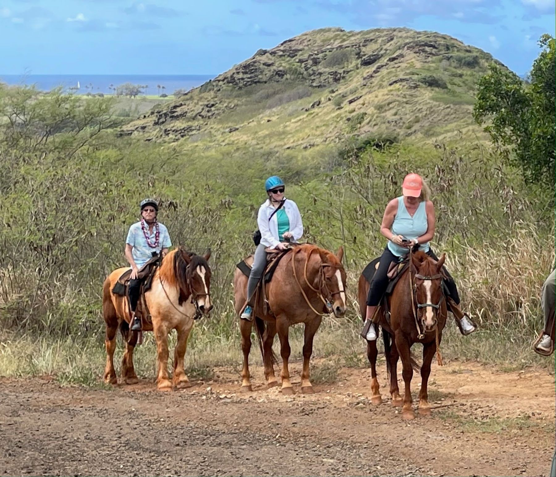 CJM Country Stables in Poʻipū, Kaua‘i photo 6