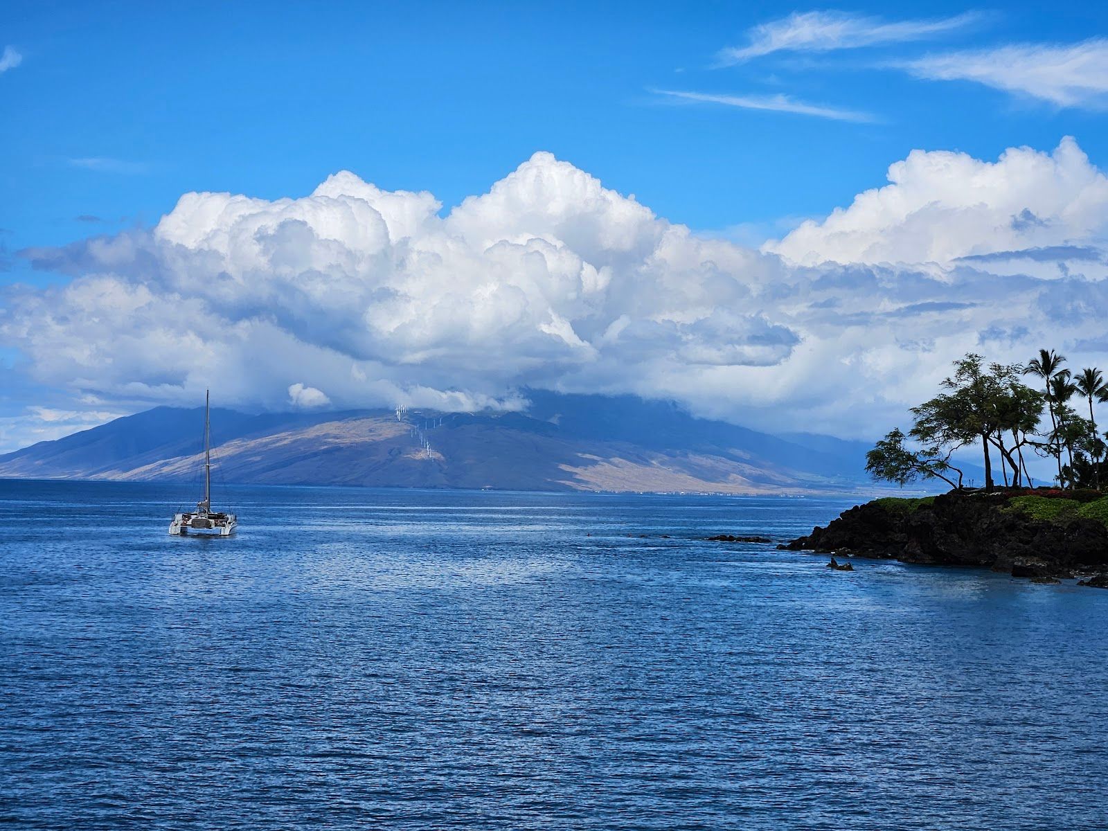 Photo 2 of Calypso in Māʻalaea, Maui