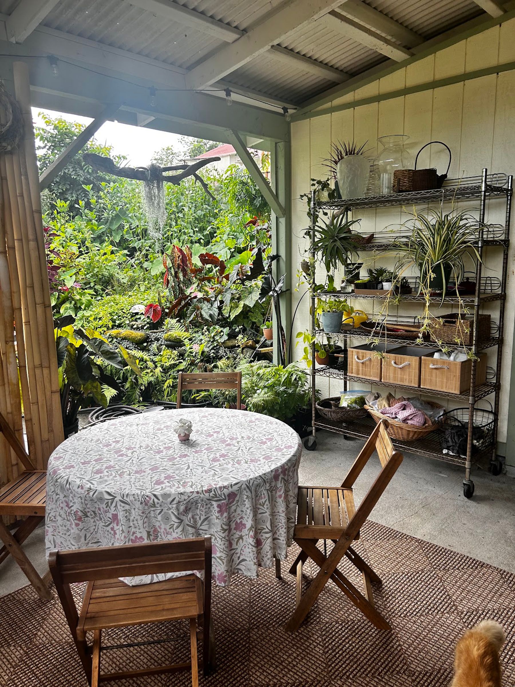 Photo 1 of The Hive in Greater Hilo, Big Island