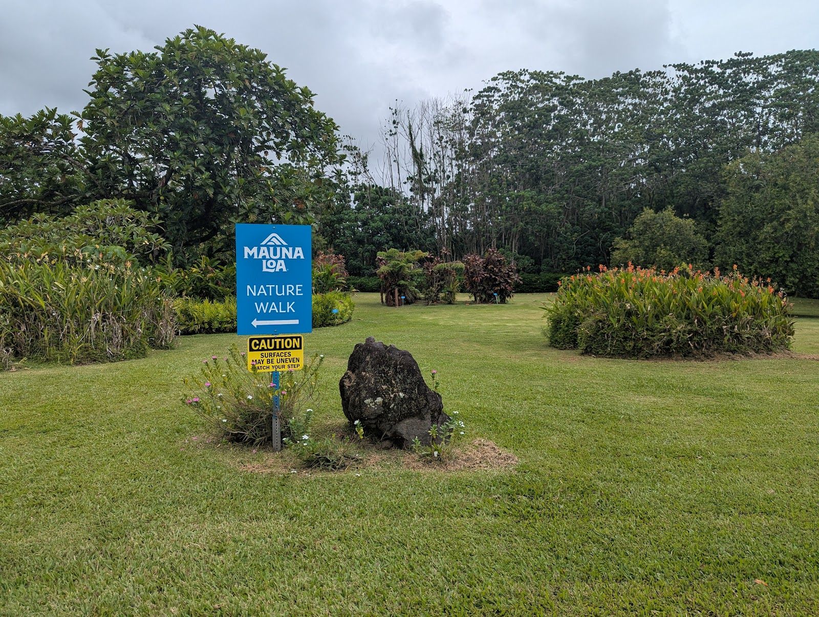 Photo 9 of Mauna Loa Macadamia Nut Visitor Center in Pāhoa, Big Island