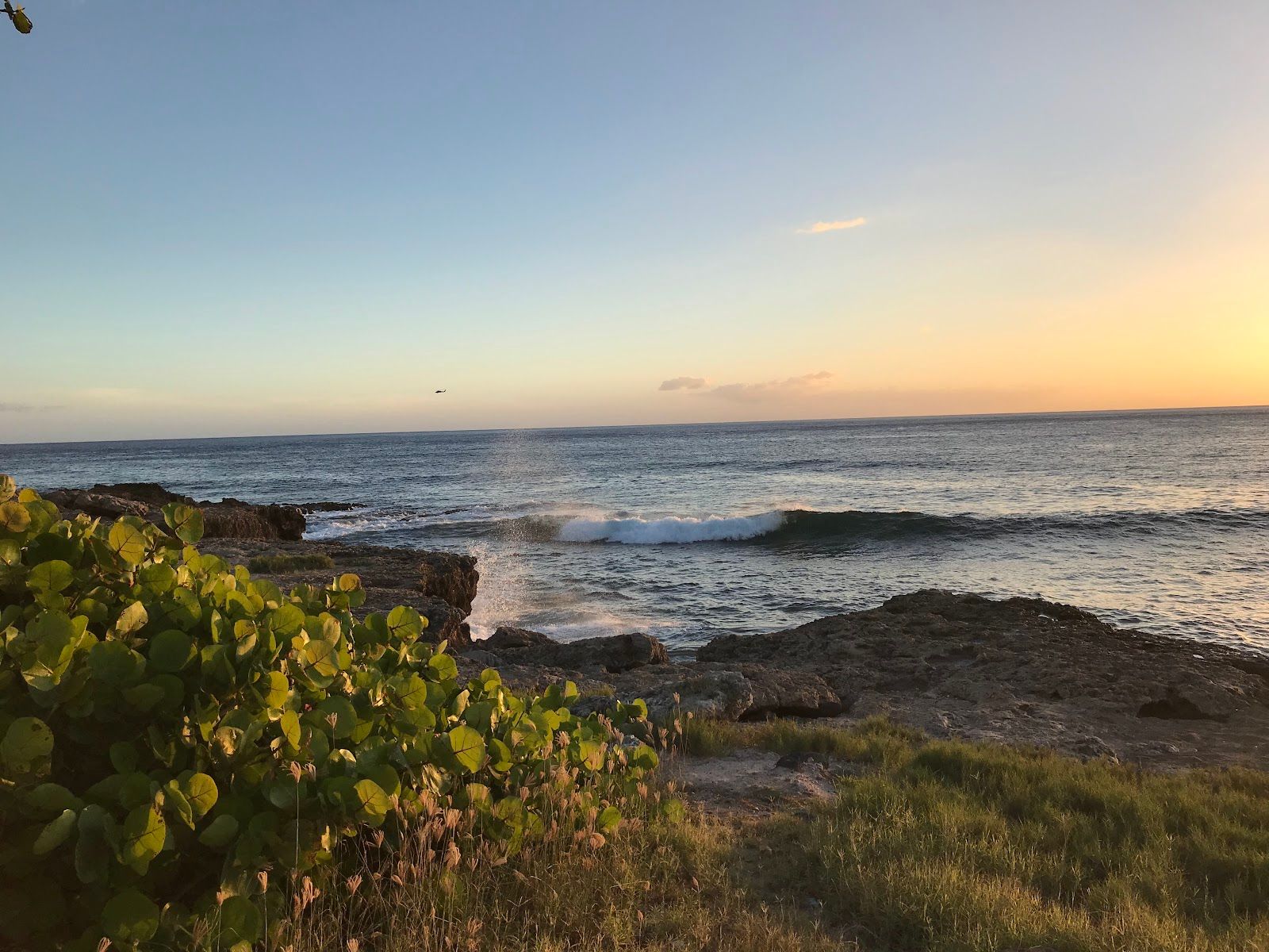Photo 9 of Keaʻau Beach Park in Waiʻanae Coast, Oahu