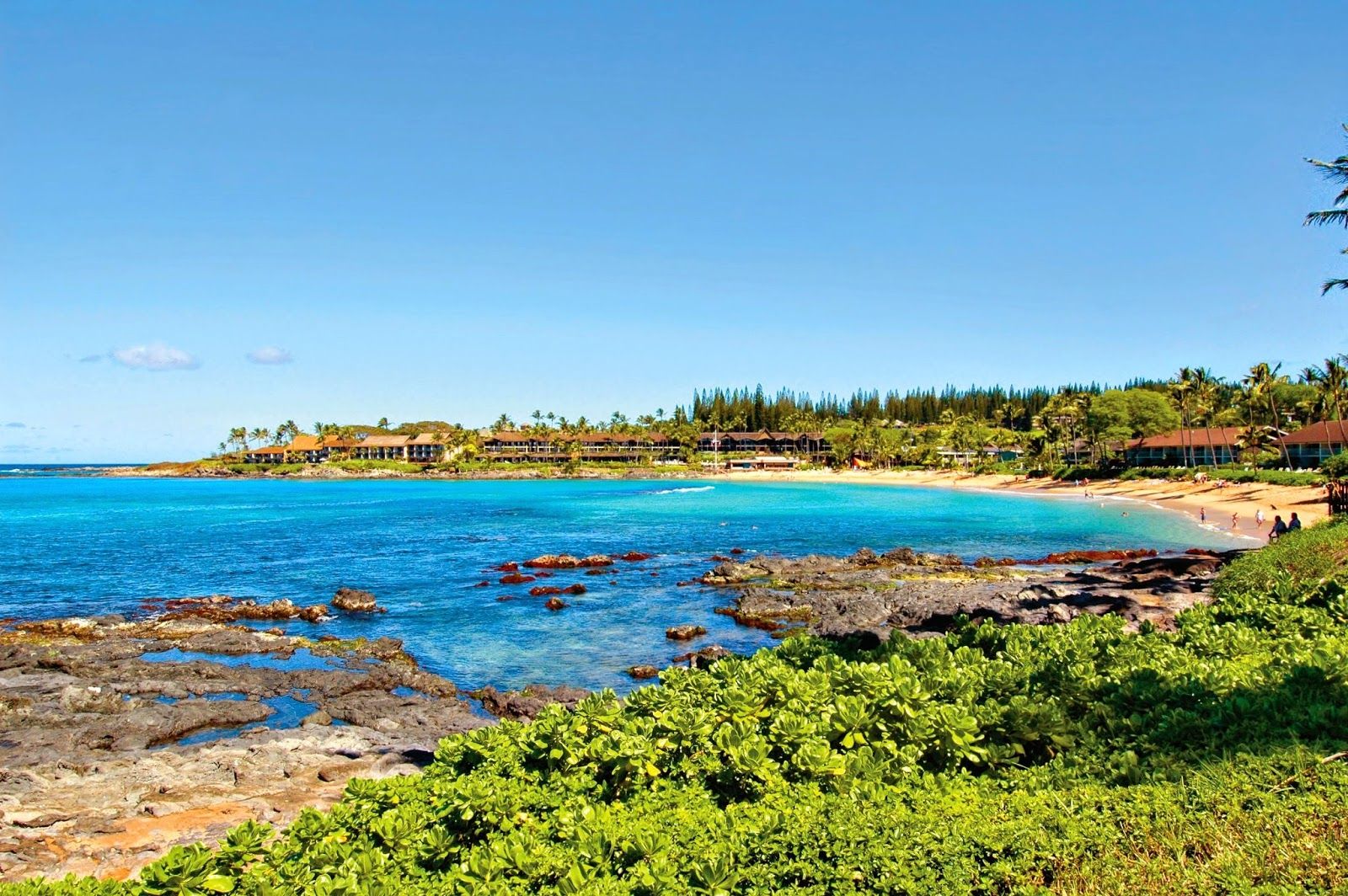 Photo 5 of Napili Shores Maui by Outrigger in Kapalua, Maui