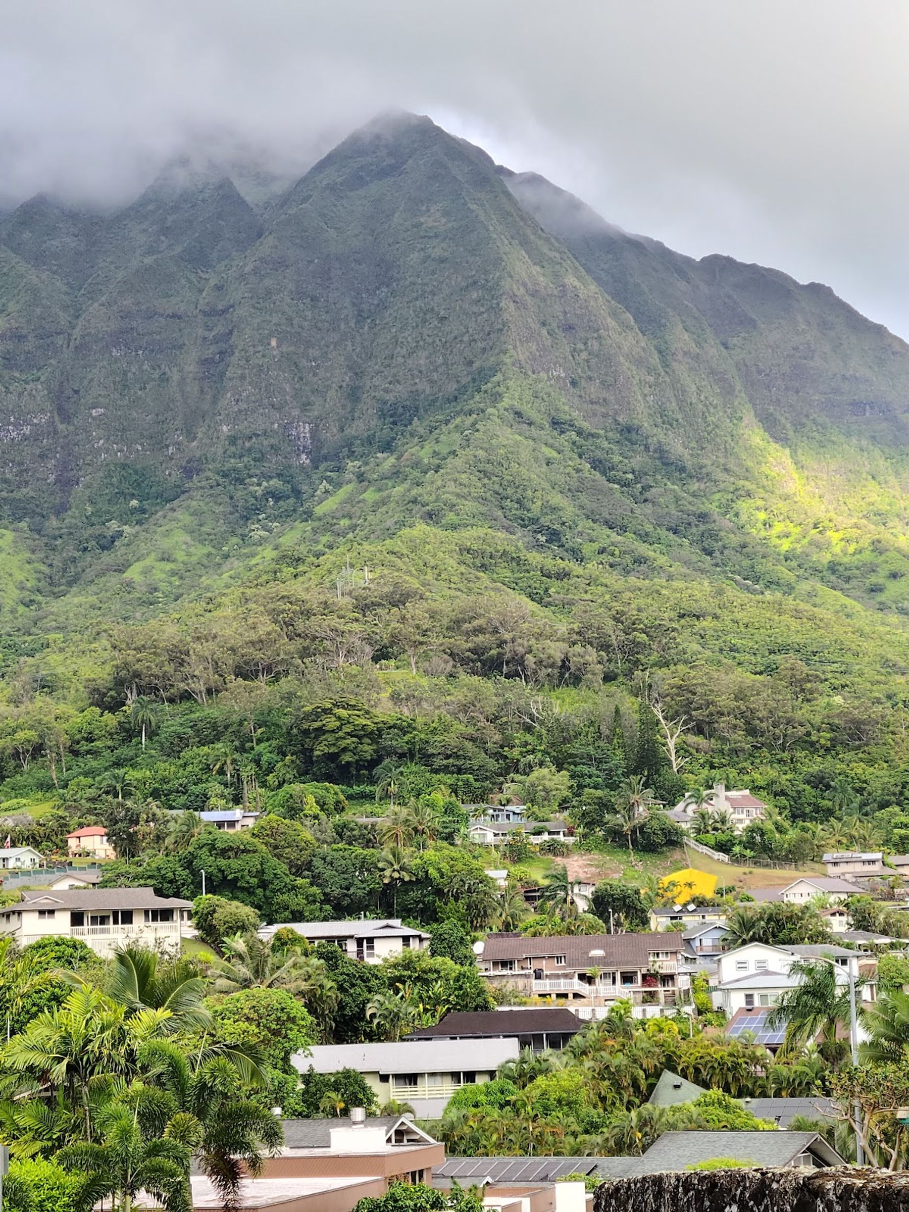 Photo 5 of Maunawili Falls Trail in Kailua & Lanikai, Oahu