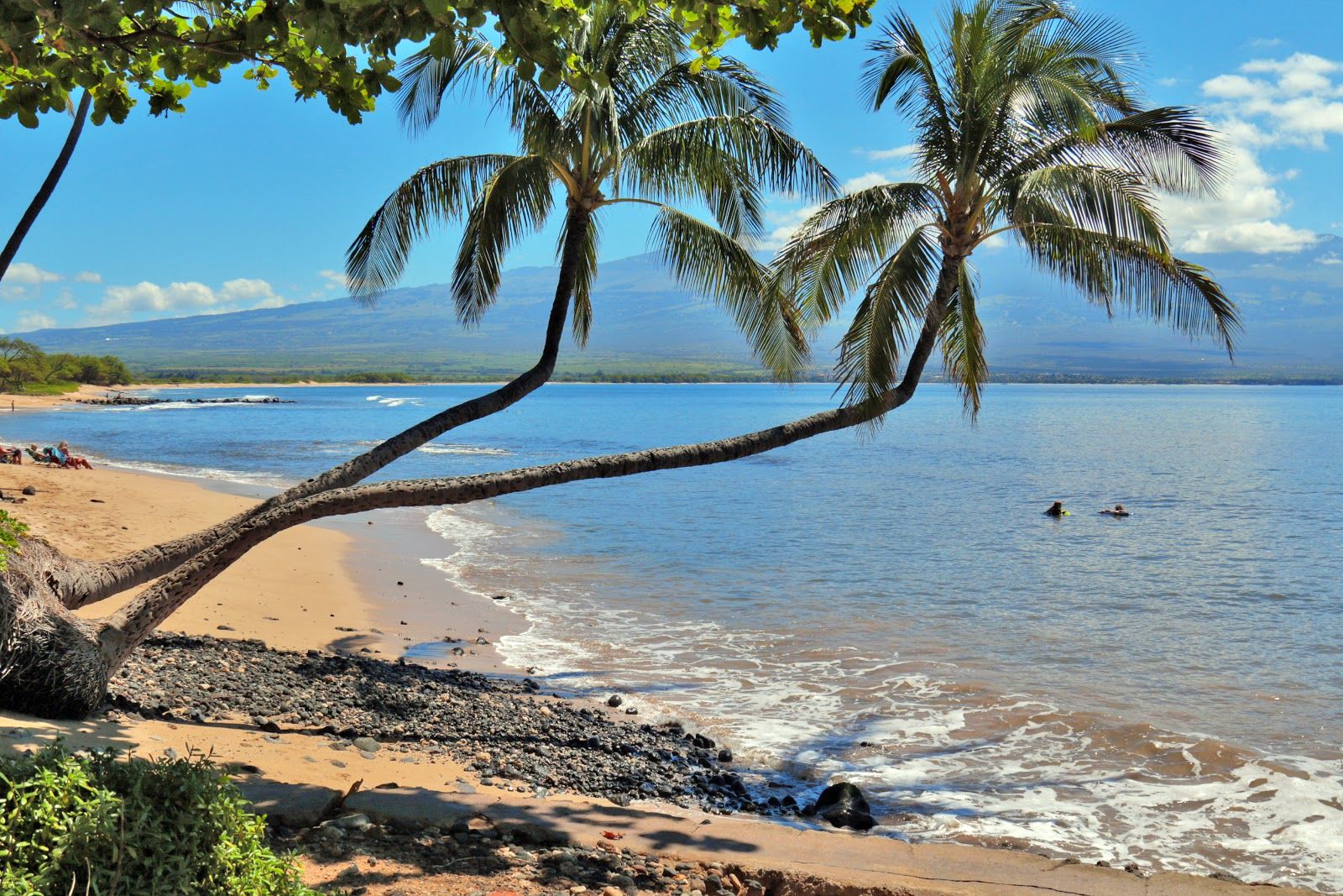 Photo 10 of Kanaʻi A Nalu in Māʻalaea, Maui
