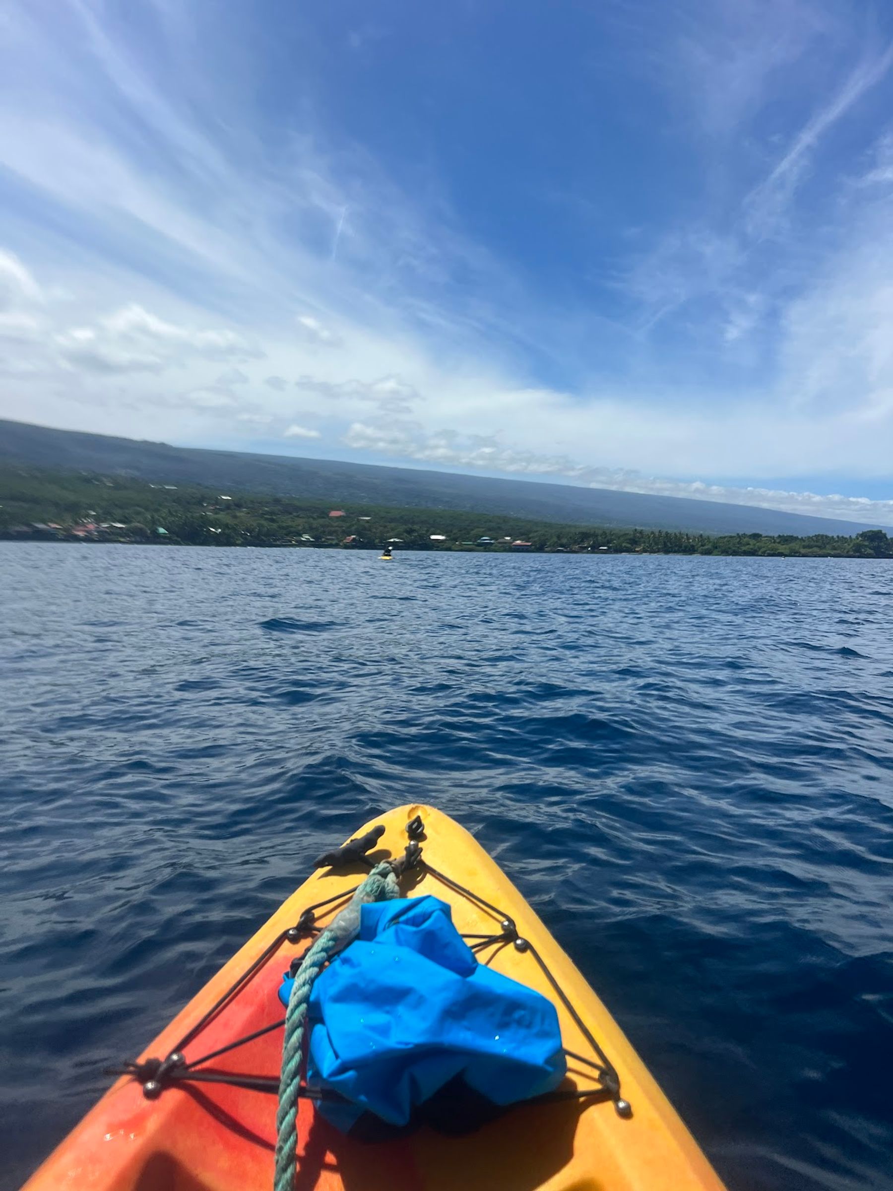 Photo 8 of Adventures In Paradise Snorkel Tours in Kailua-Kona, Big Island