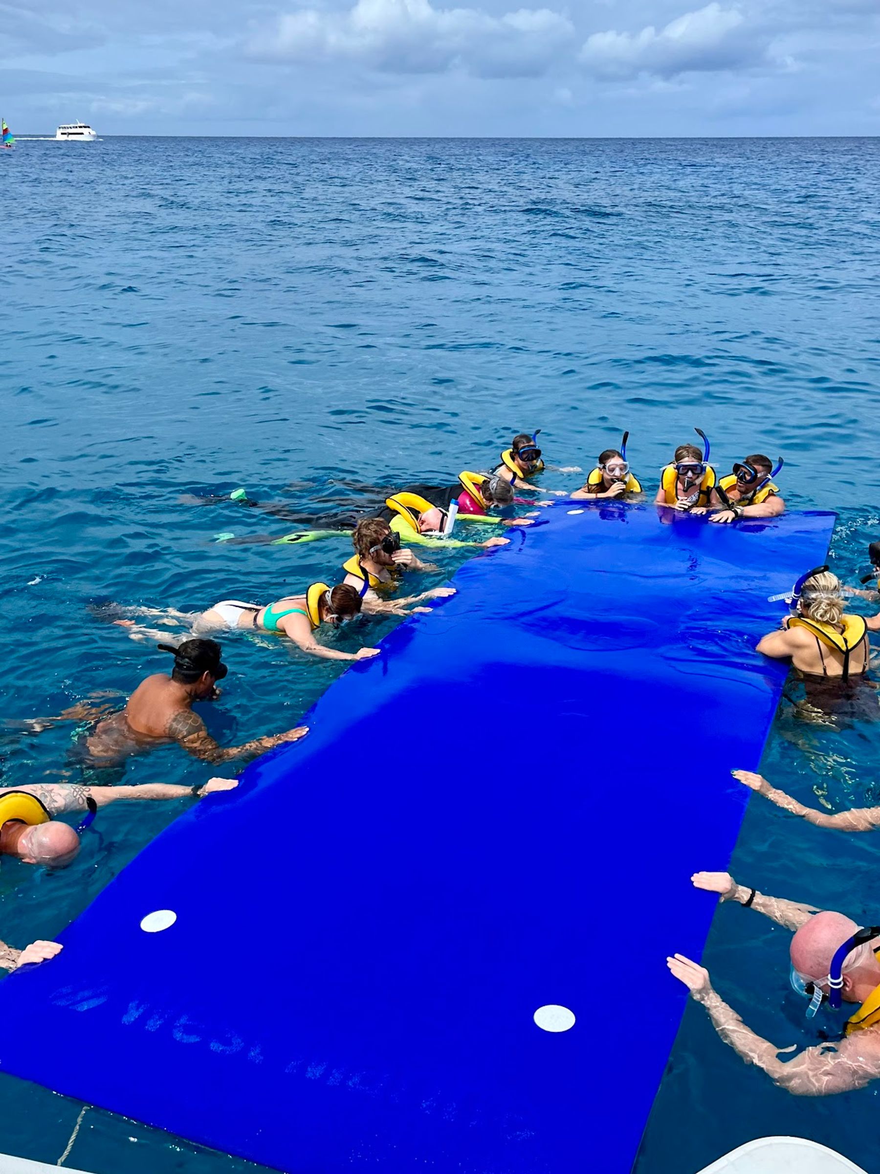 Photo 7 of Living Ocean Tours in Ala Moana & Mōʻiliʻili, Oahu