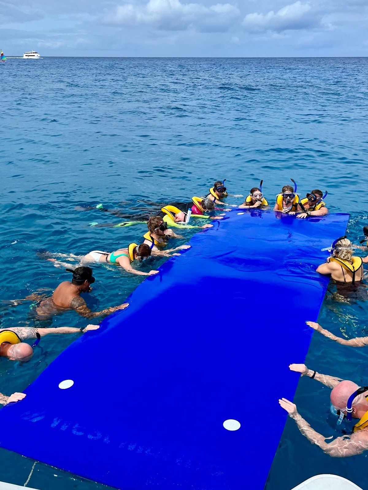 Photo 7 of Living Ocean Tours in Ala Moana & Mōʻiliʻili, Oahu