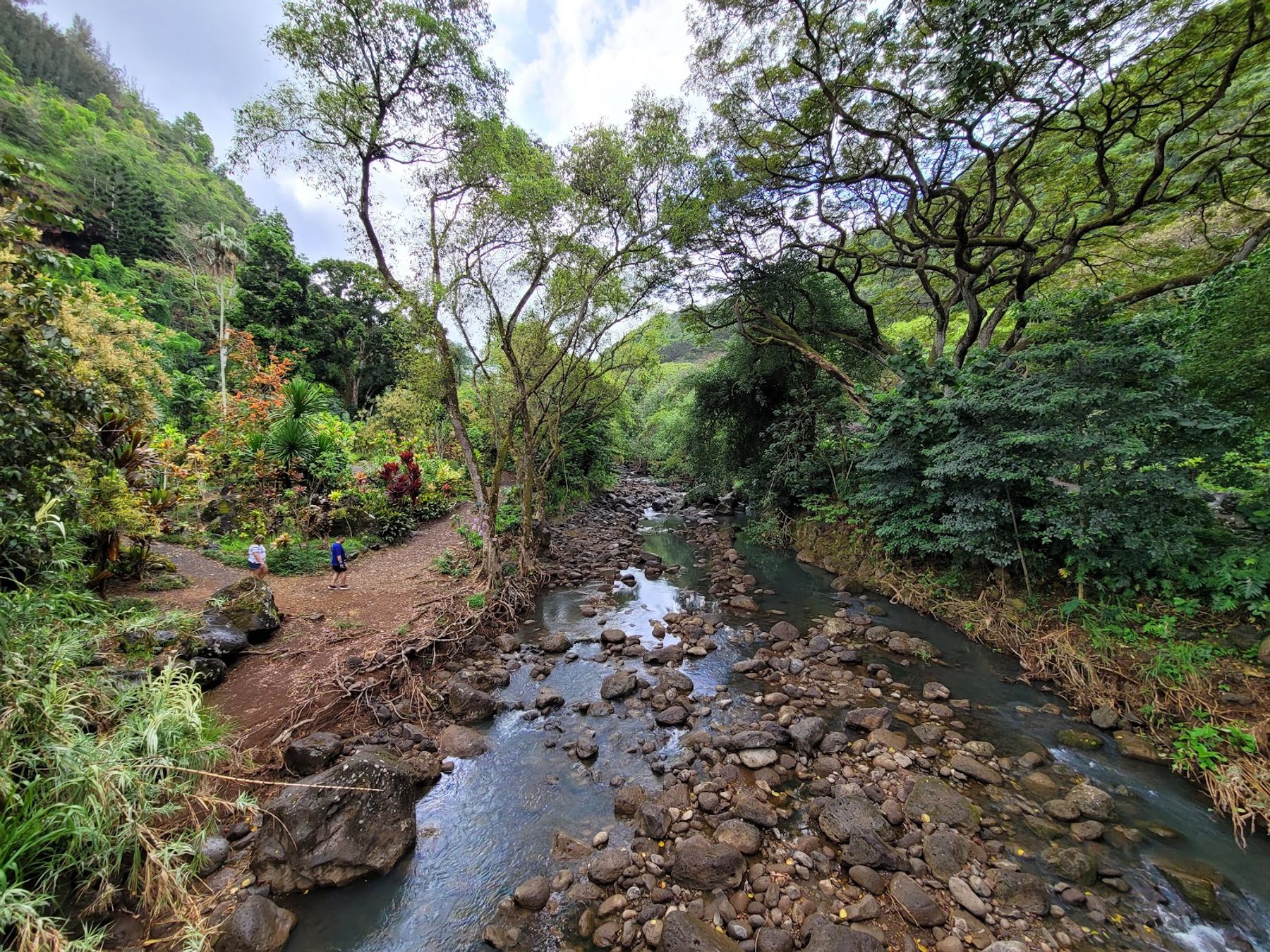 Photo 3 of Waimea Valley in Pūpūkea, Oahu